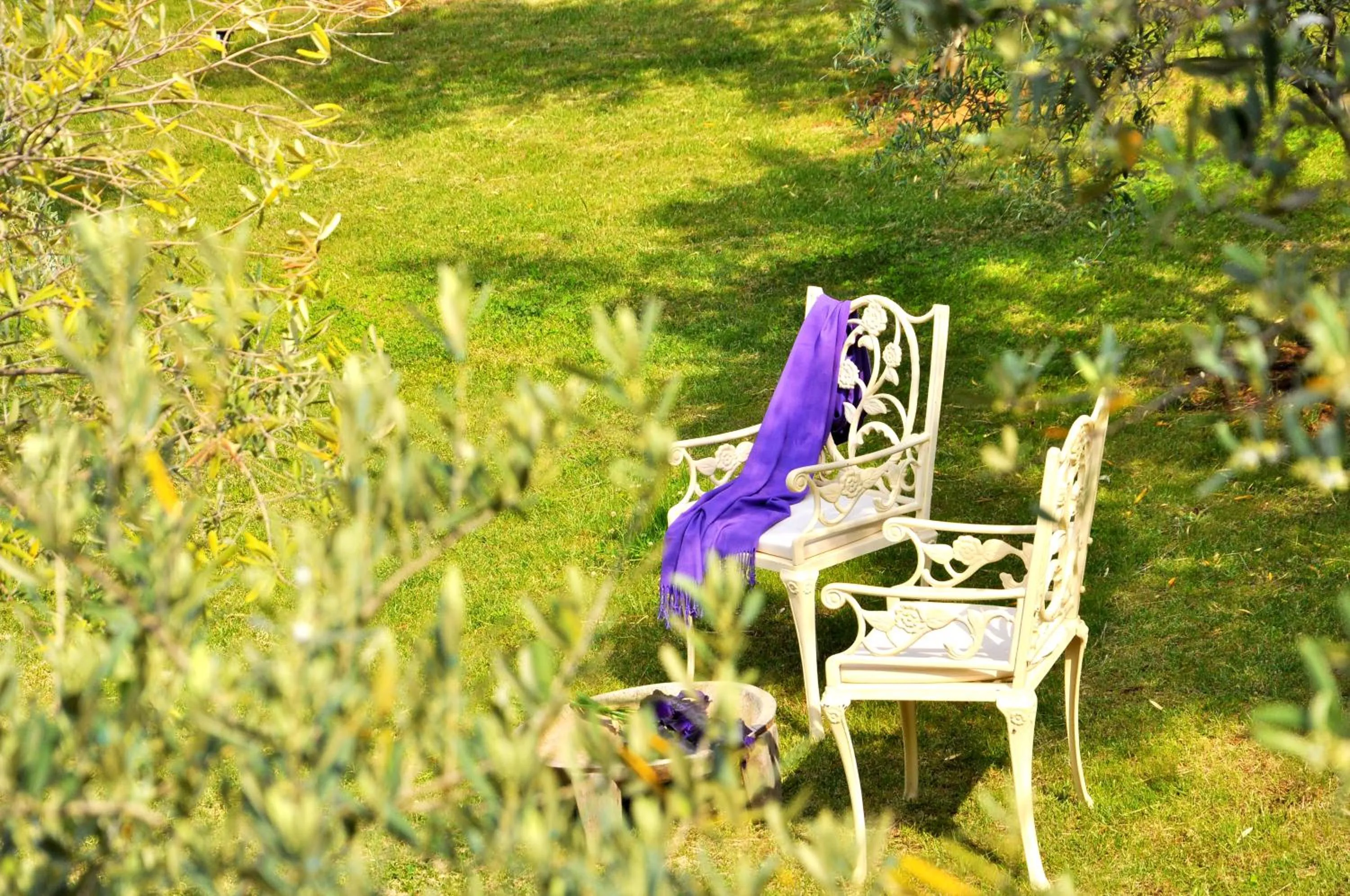 Spring in Gullu Konaklari