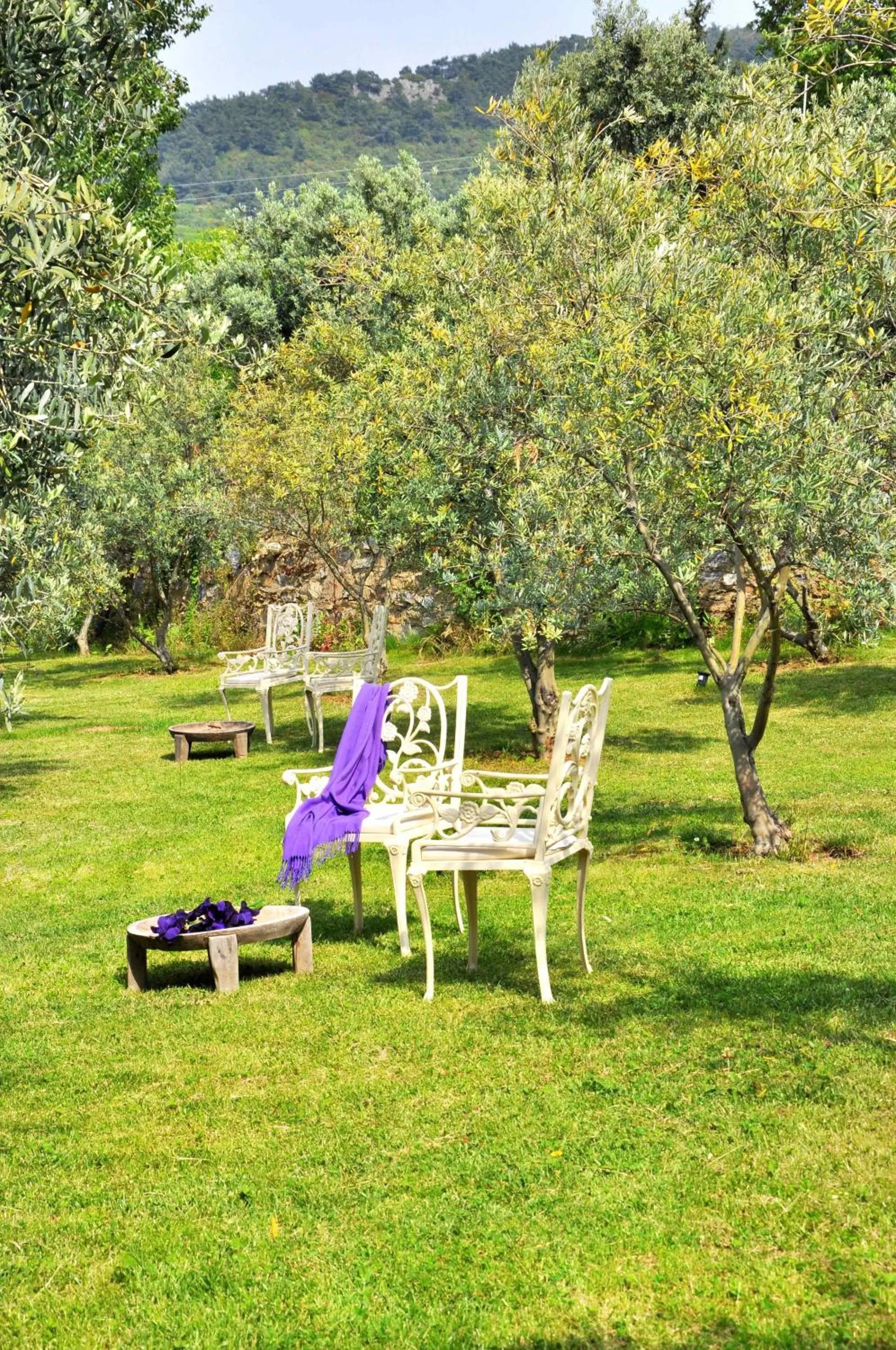 Garden in Gullu Konaklari