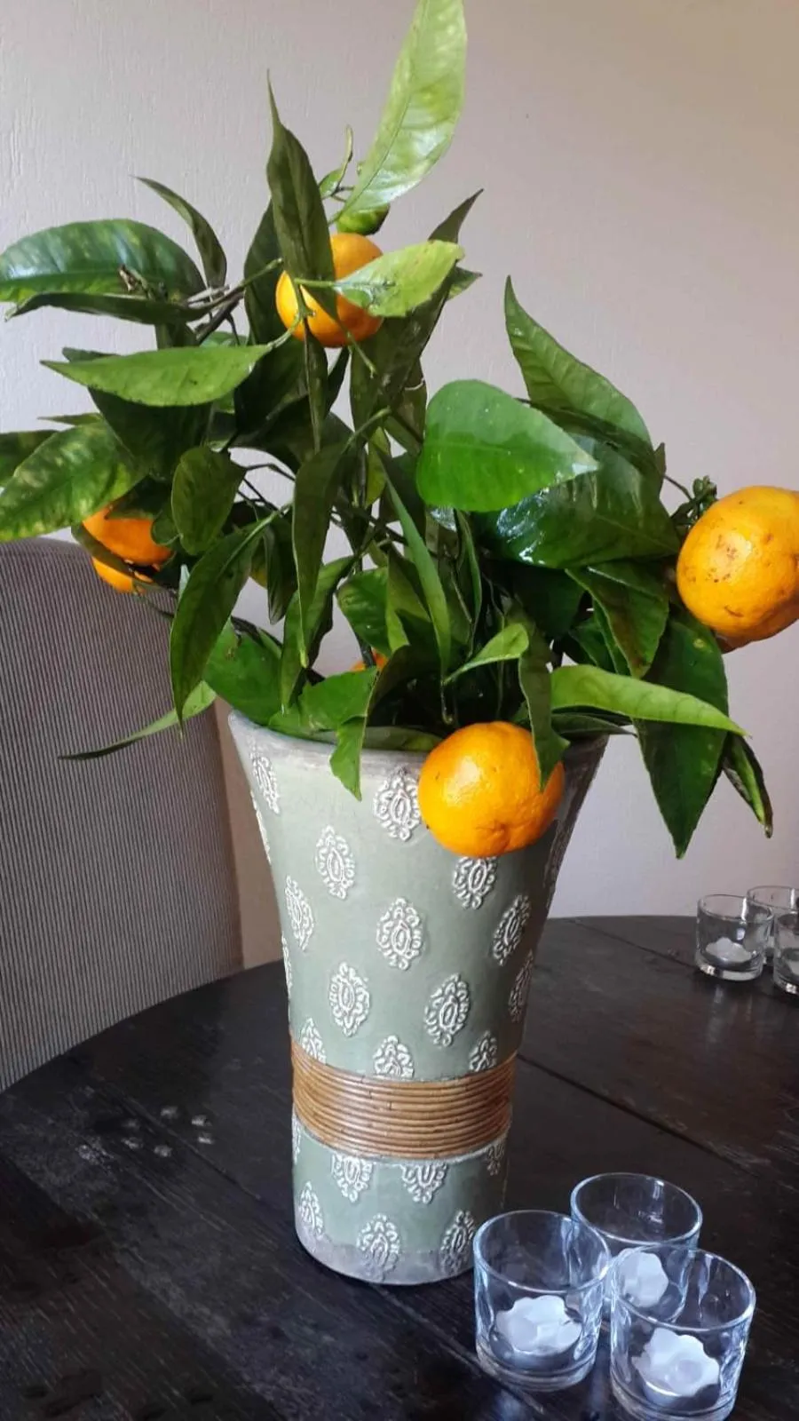 Other in Gullu Konaklari