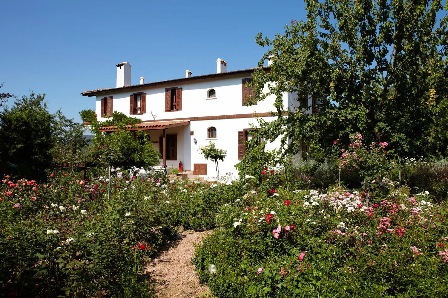 Property building in Gullu Konaklari