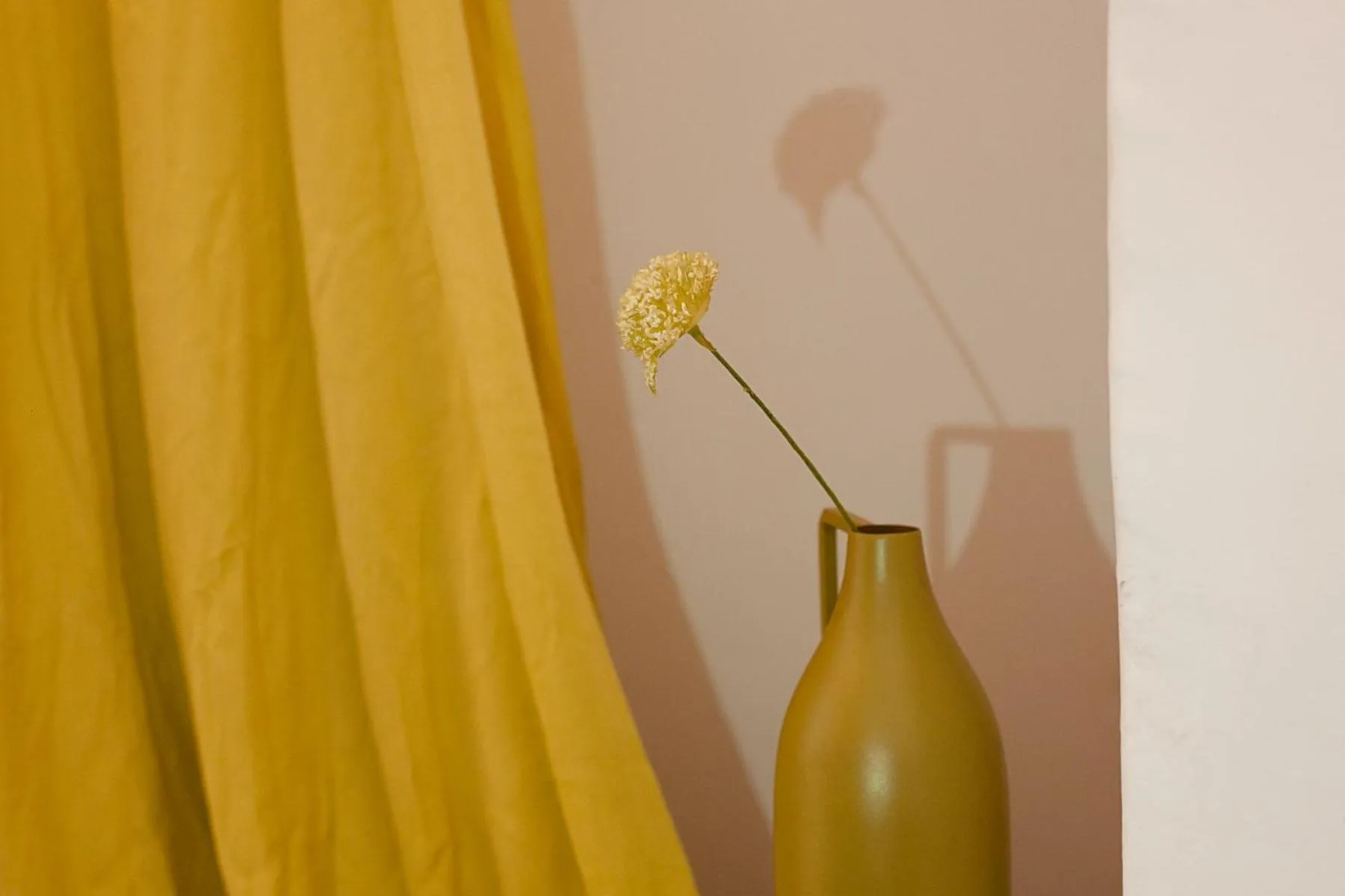 Area and facilities in My Rooms Artà Adults Only by My Rooms Hotels TI