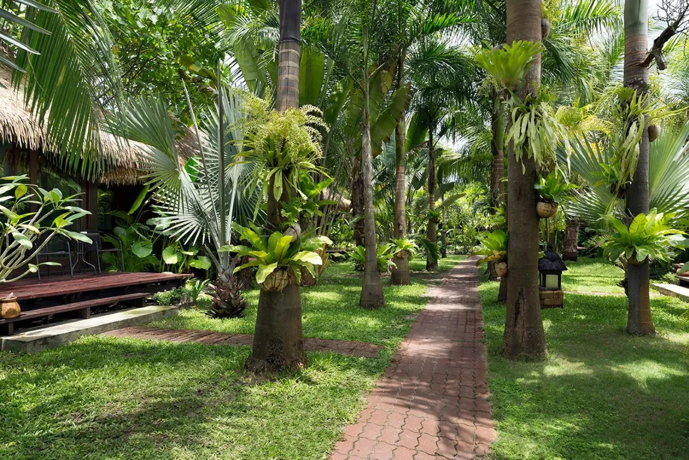 Garden view in Mali Resort Pattaya Beach Koh Lipe