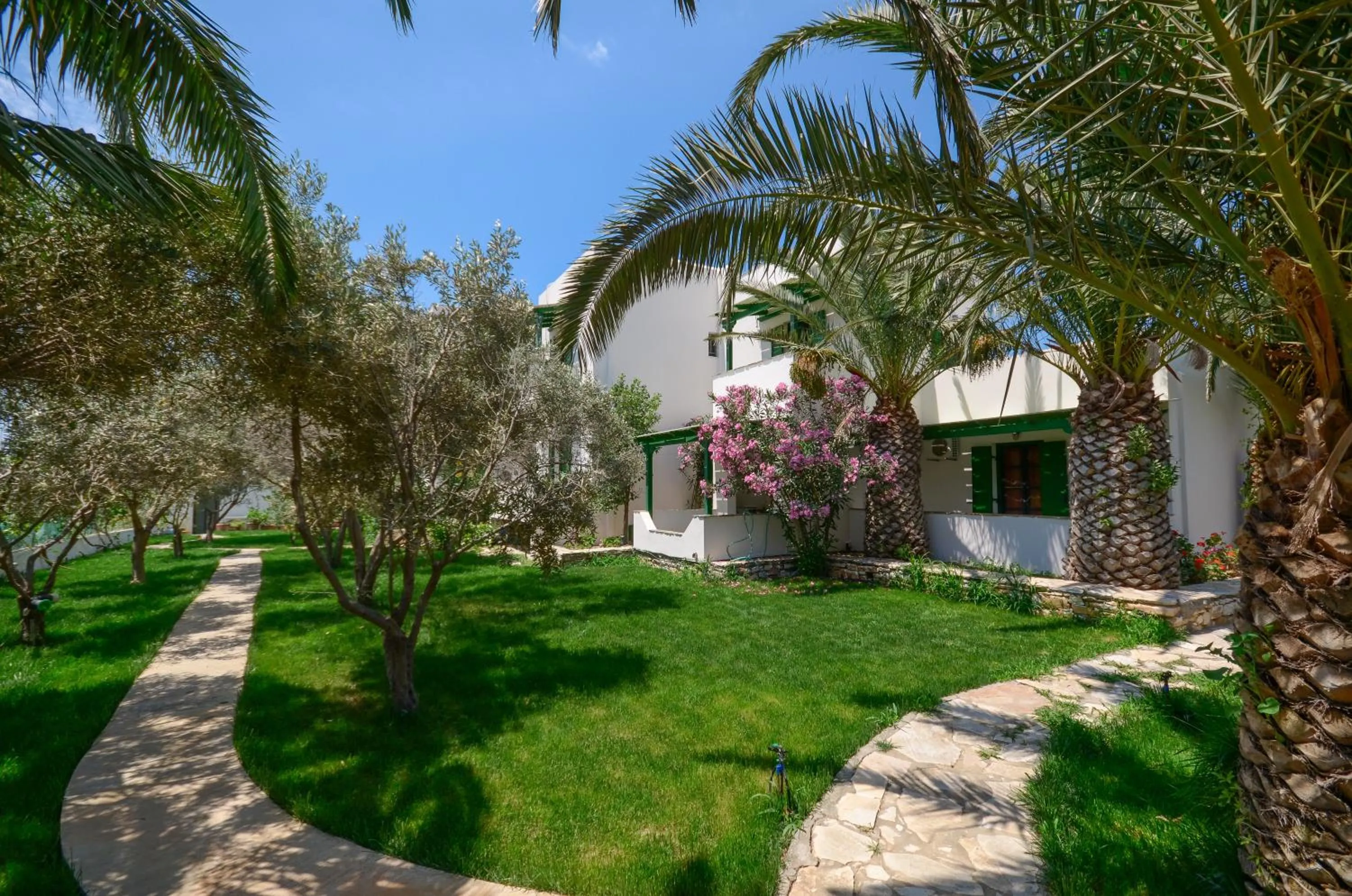 Garden view in Studios Vrettos Beachfront Hotel