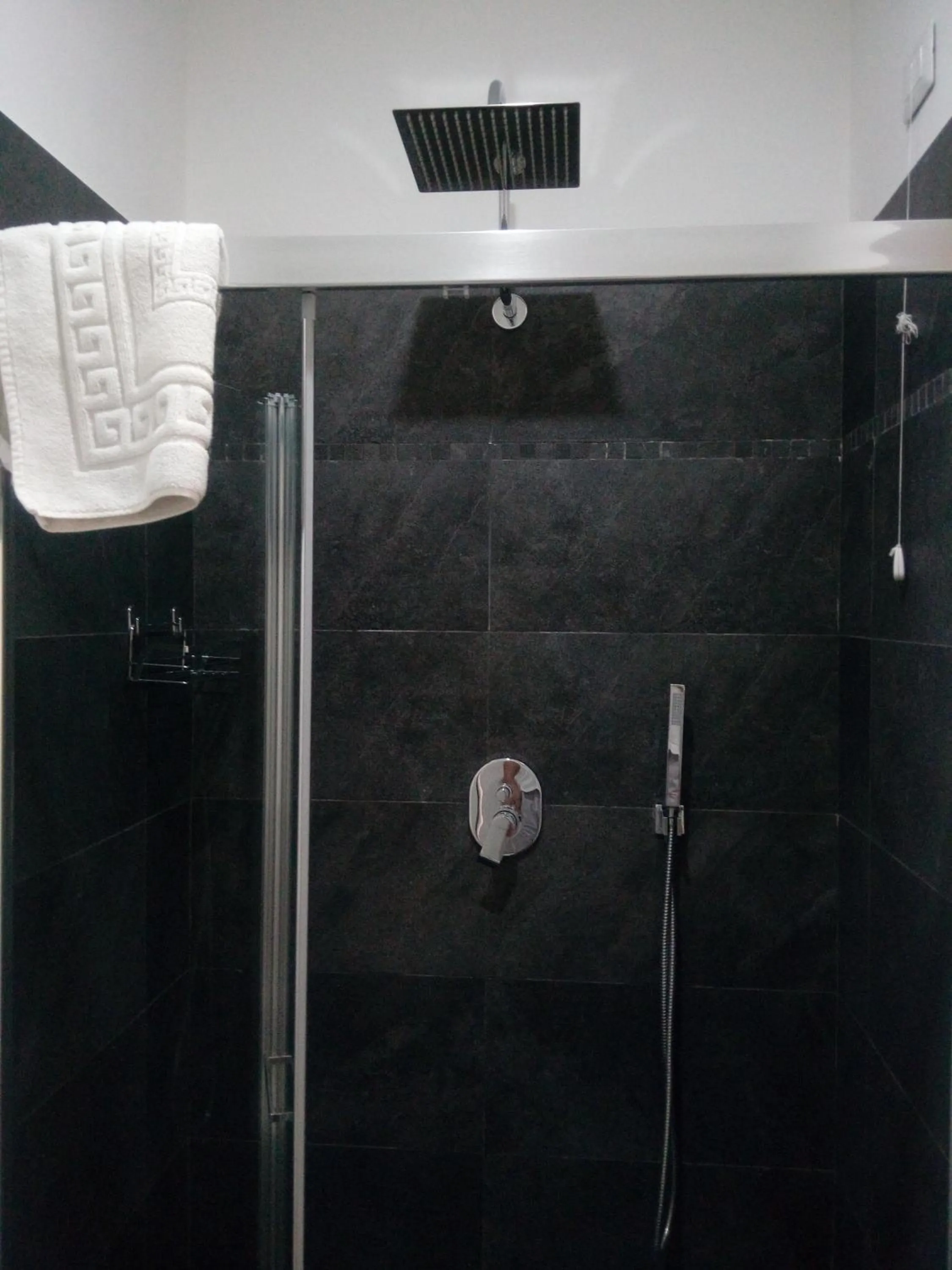 Shower in Symposion B&B Apart