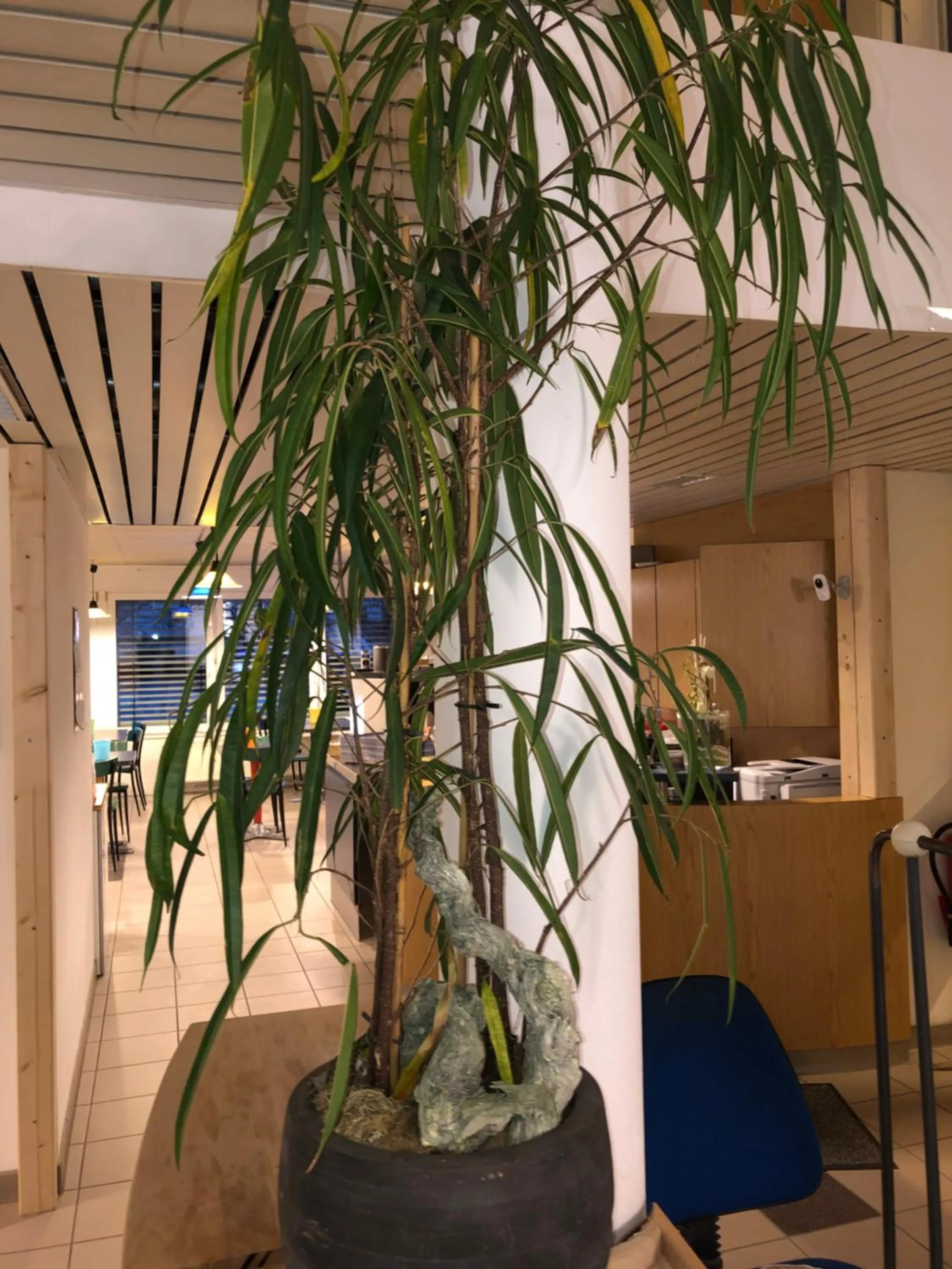 Lobby or reception in Hotel Drei König- Ihr Transithotel