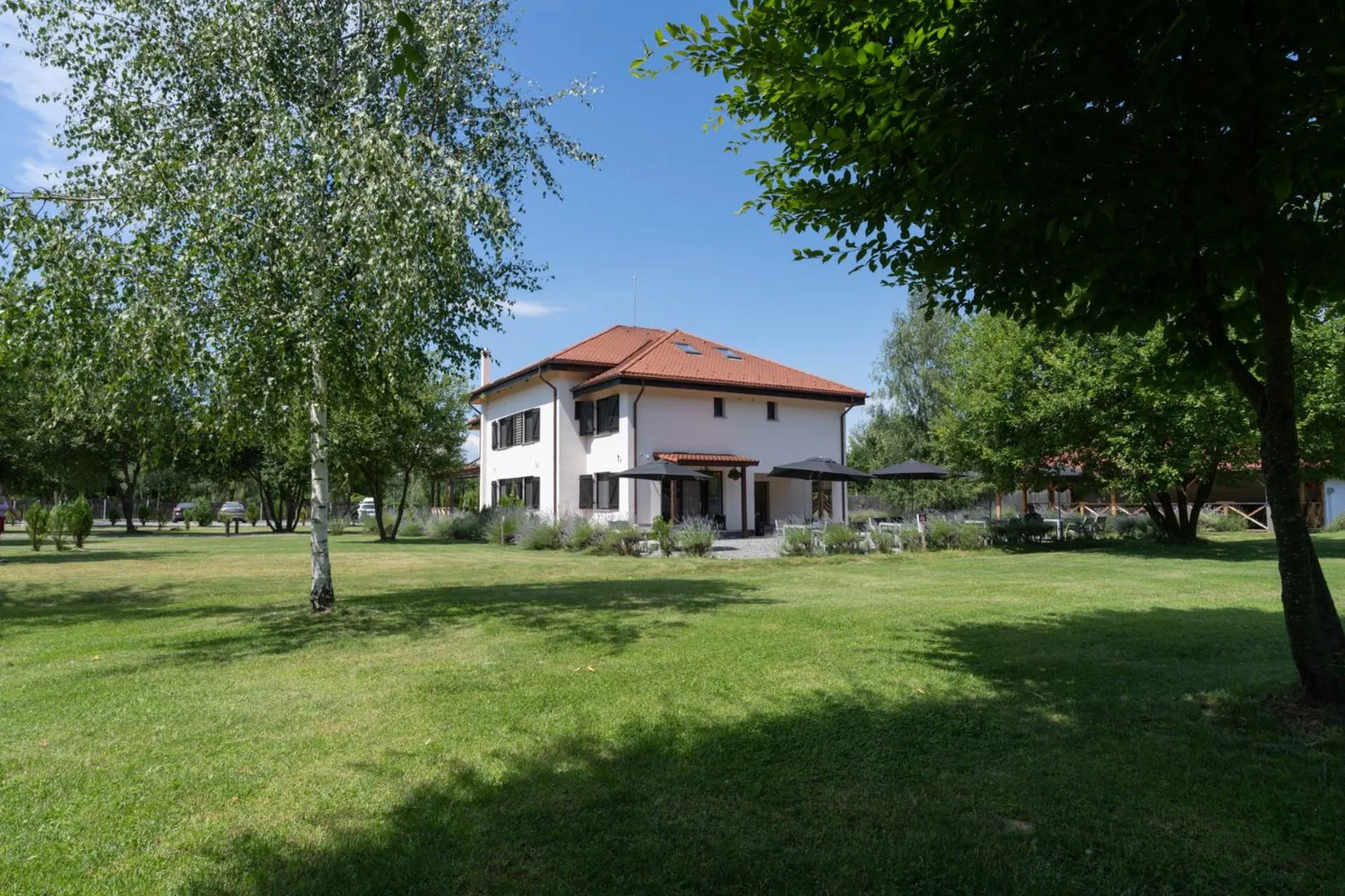 Garden in Pensiunea Negoiu
