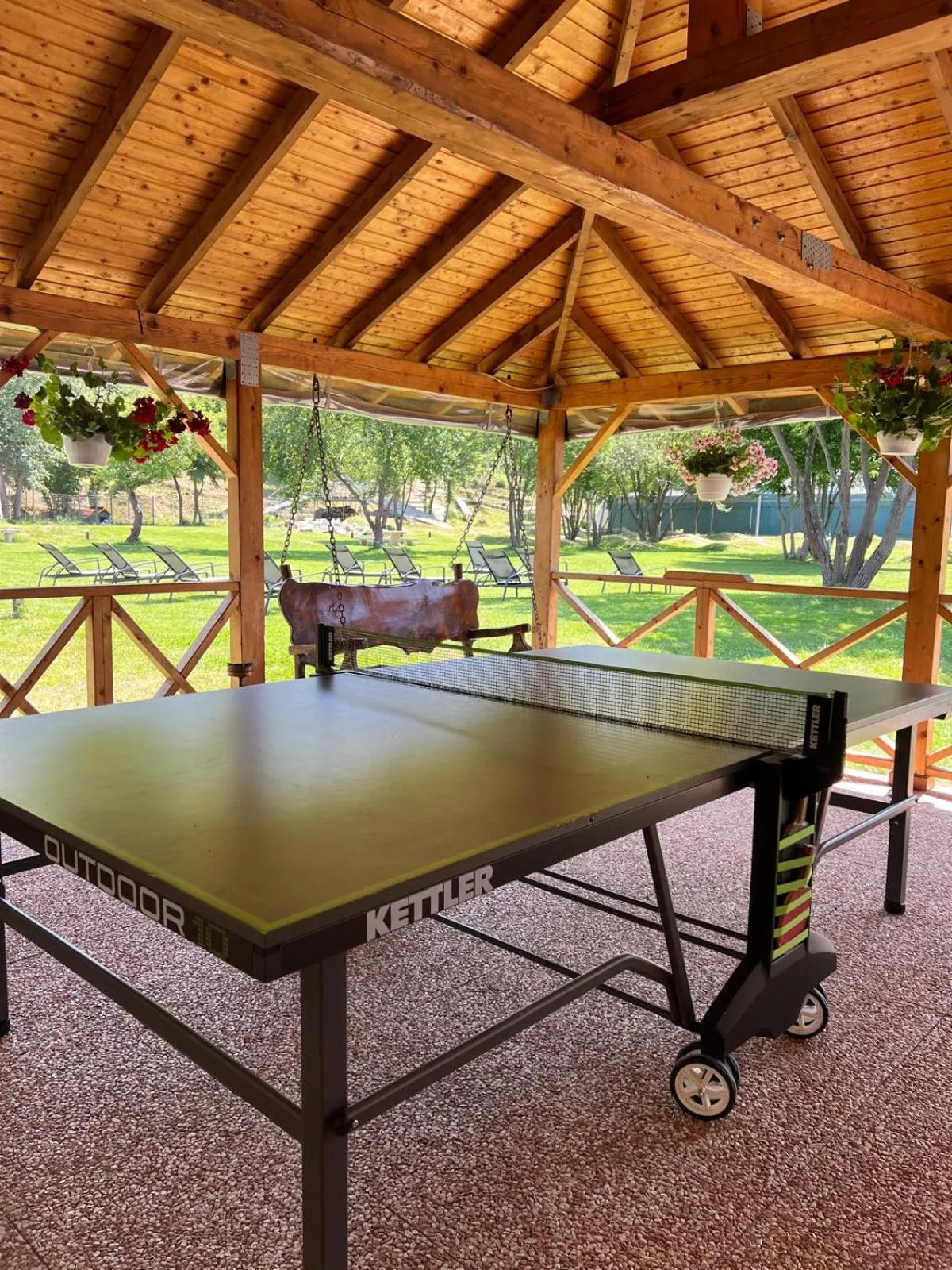 Table tennis in Pensiunea Negoiu