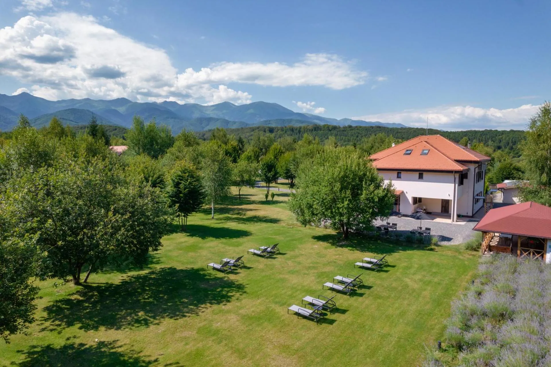 Garden in Pensiunea Negoiu