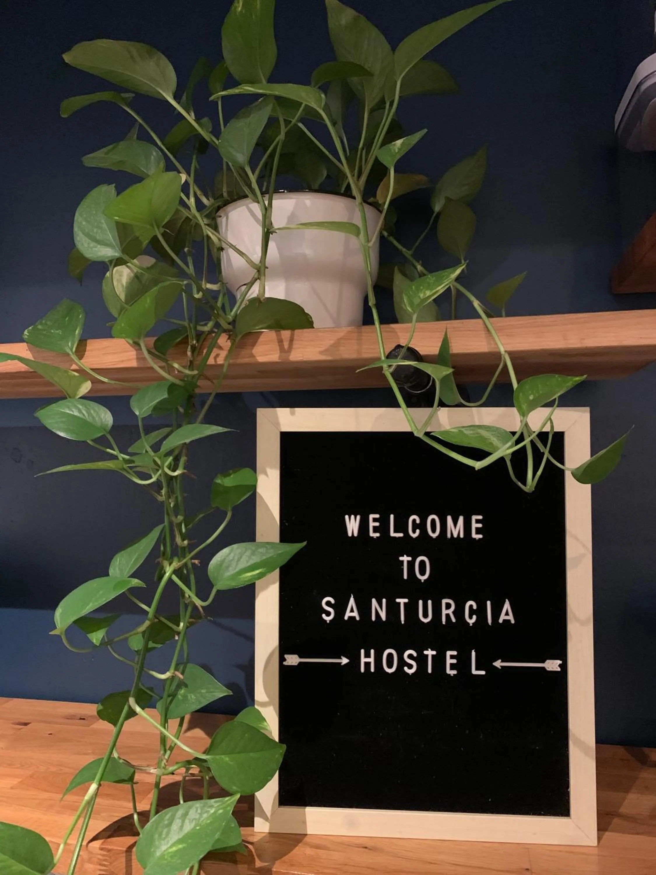 Communal kitchen in Santurcia Hostel