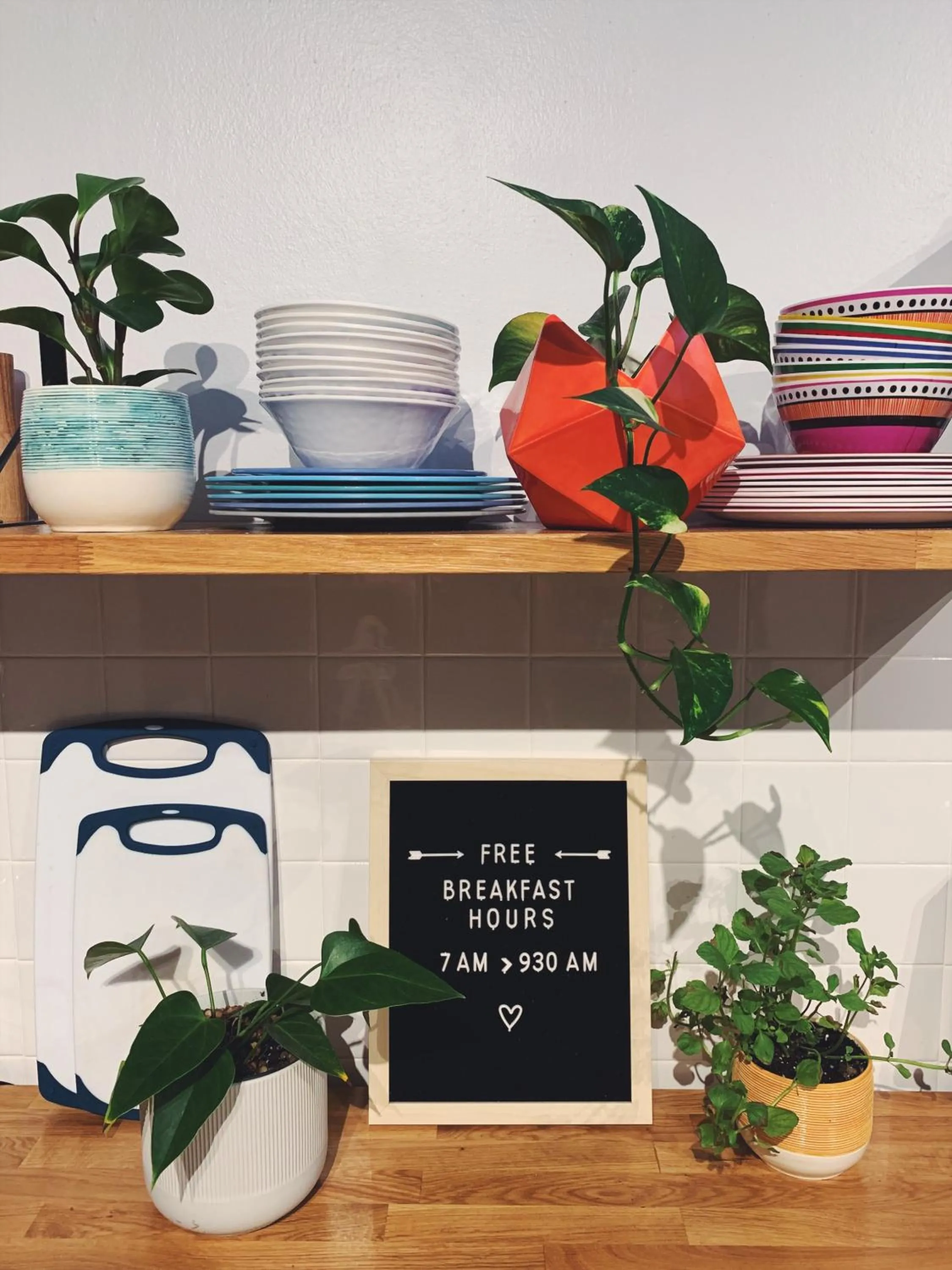 Communal kitchen in Santurcia Hostel