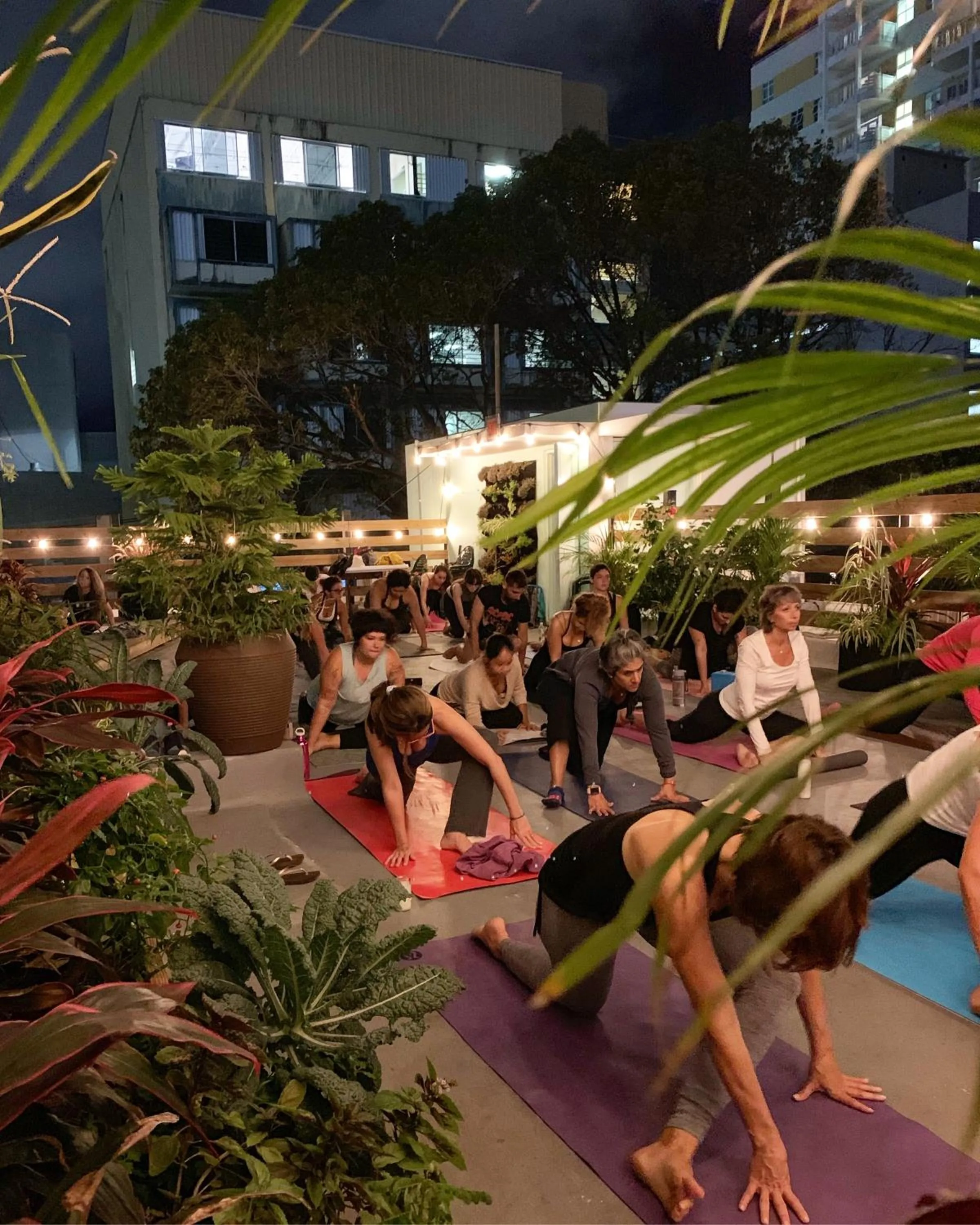 Patio in Santurcia Hostel