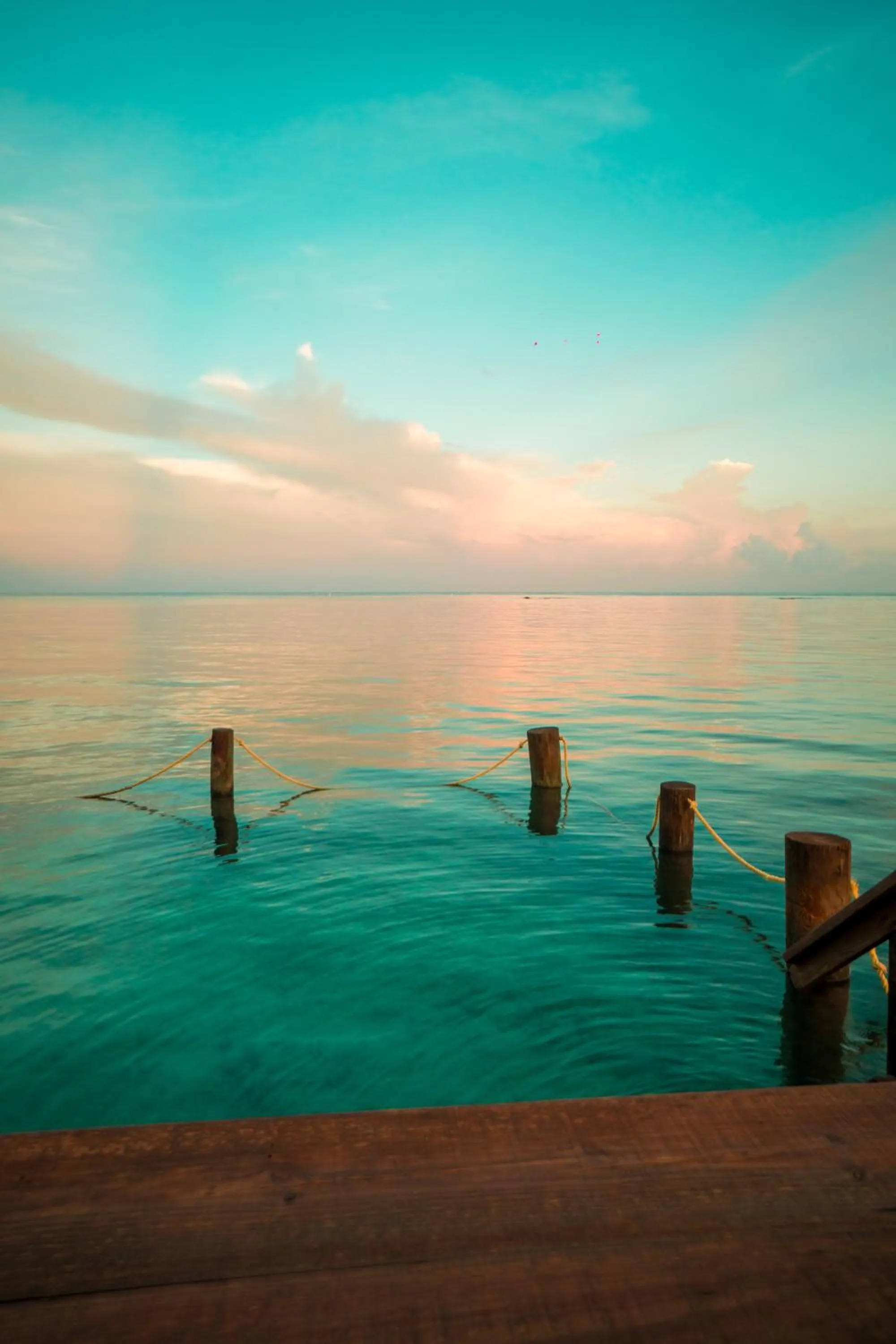 Beach in West End Dive Resort