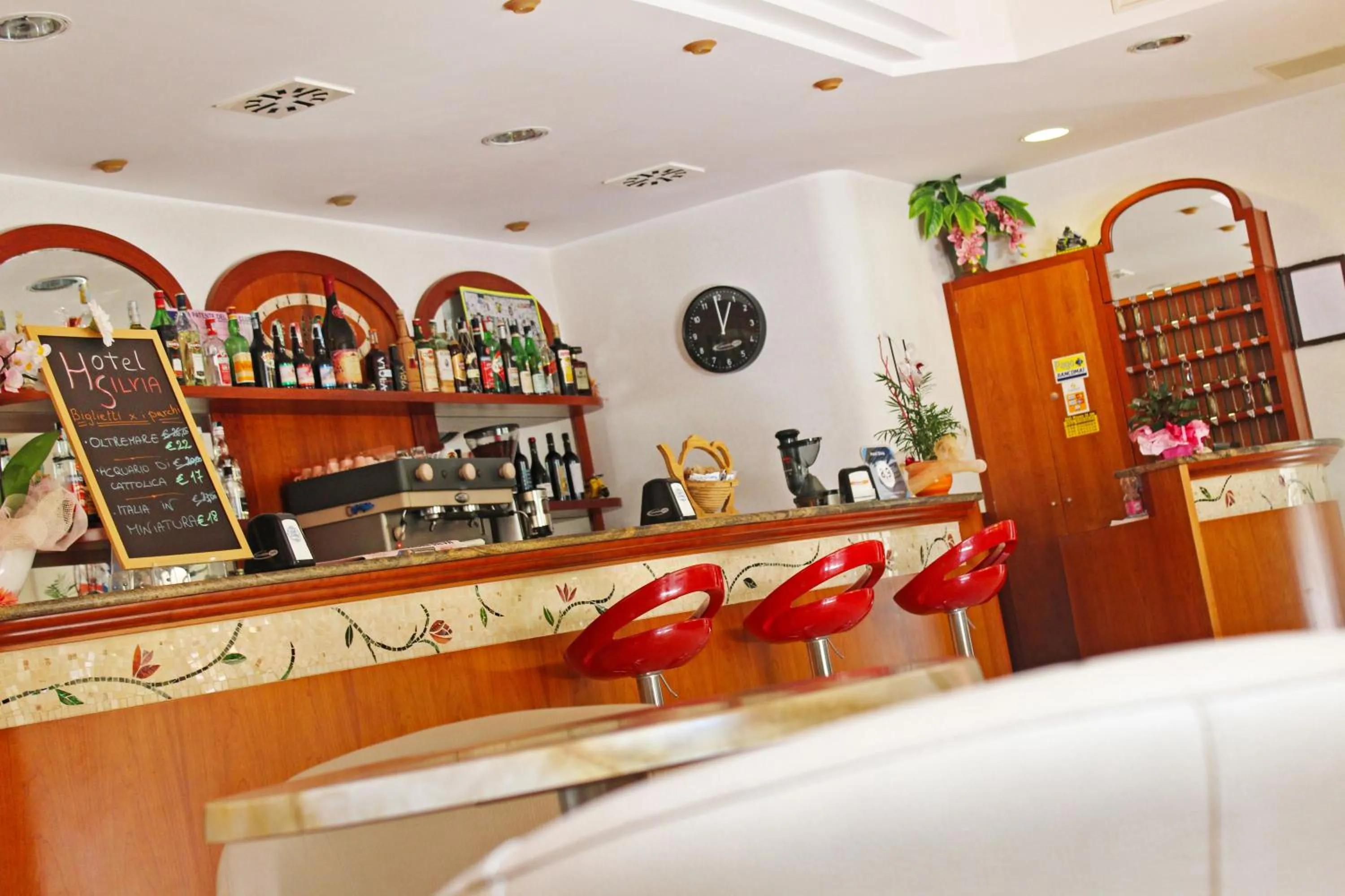 Lounge or bar in Hotel Silvia