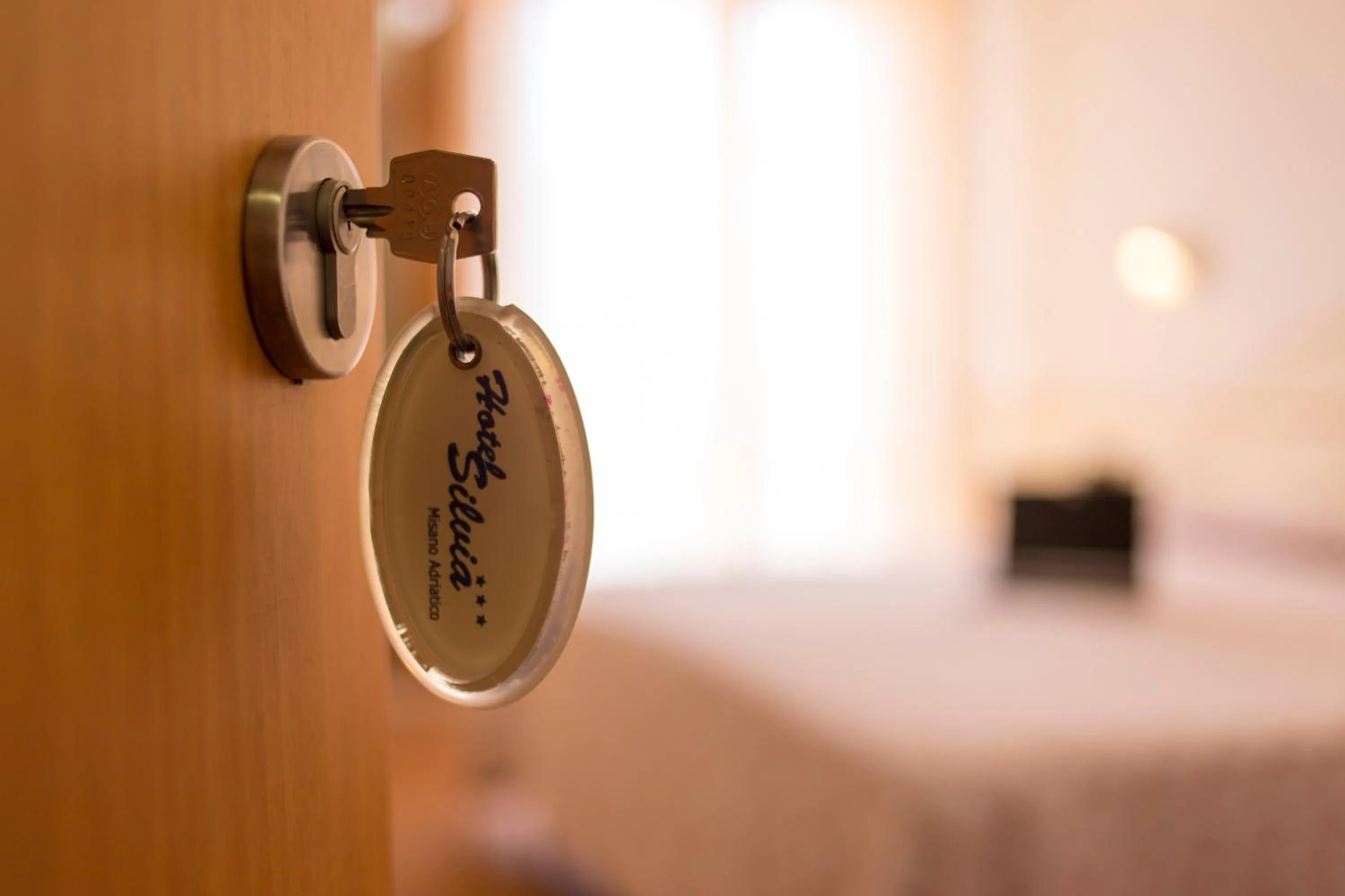 Decorative detail in Hotel Silvia