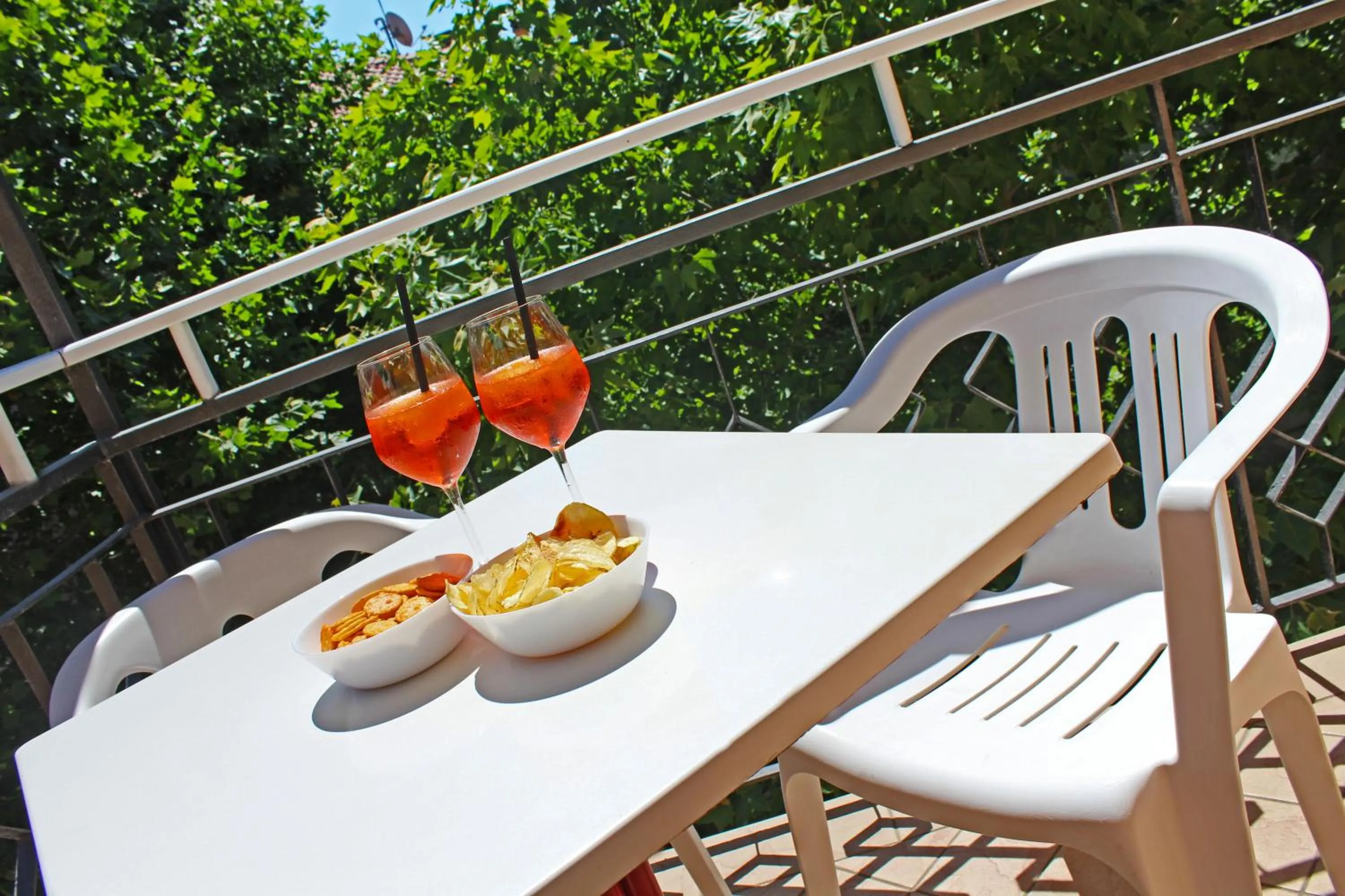 Balcony/Terrace in Hotel Silvia