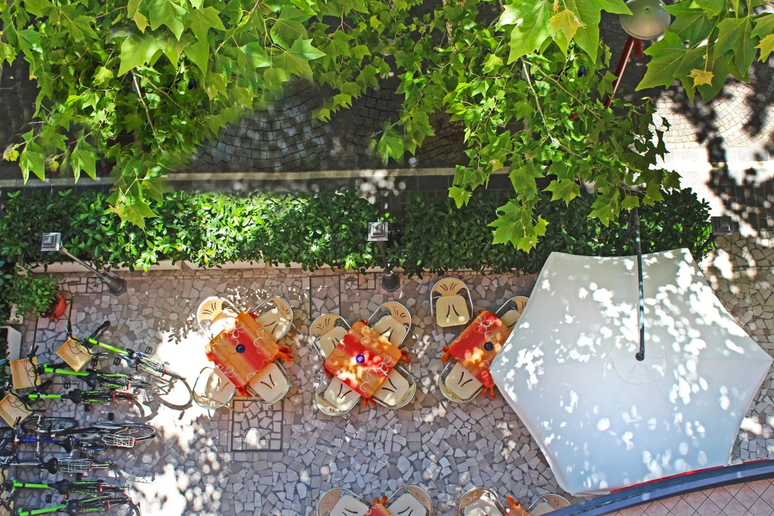 Patio in Hotel Silvia