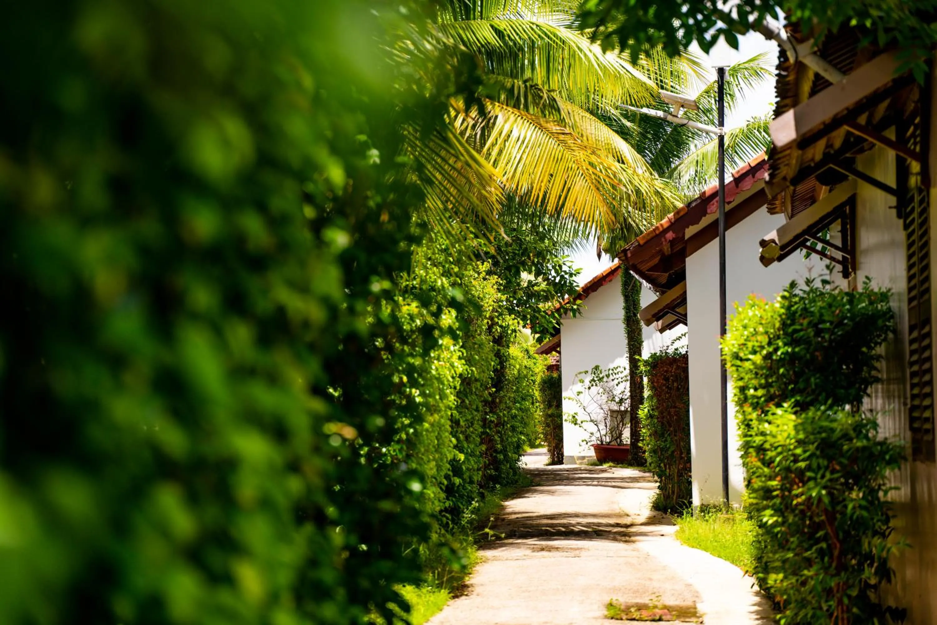 Garden in Maison Du VietNam Resort & Spa