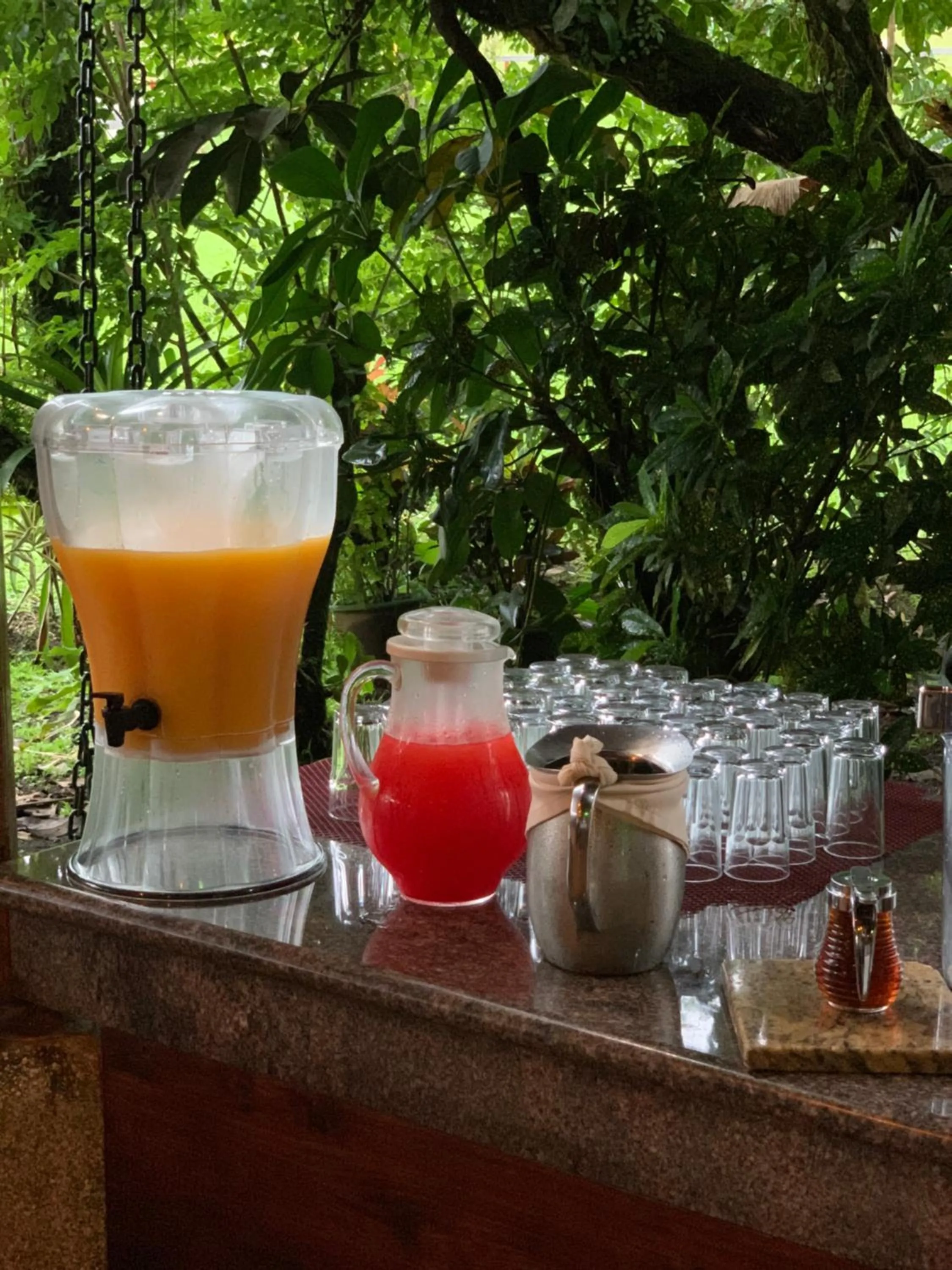 Food and drinks in Arenal Volcano Inn