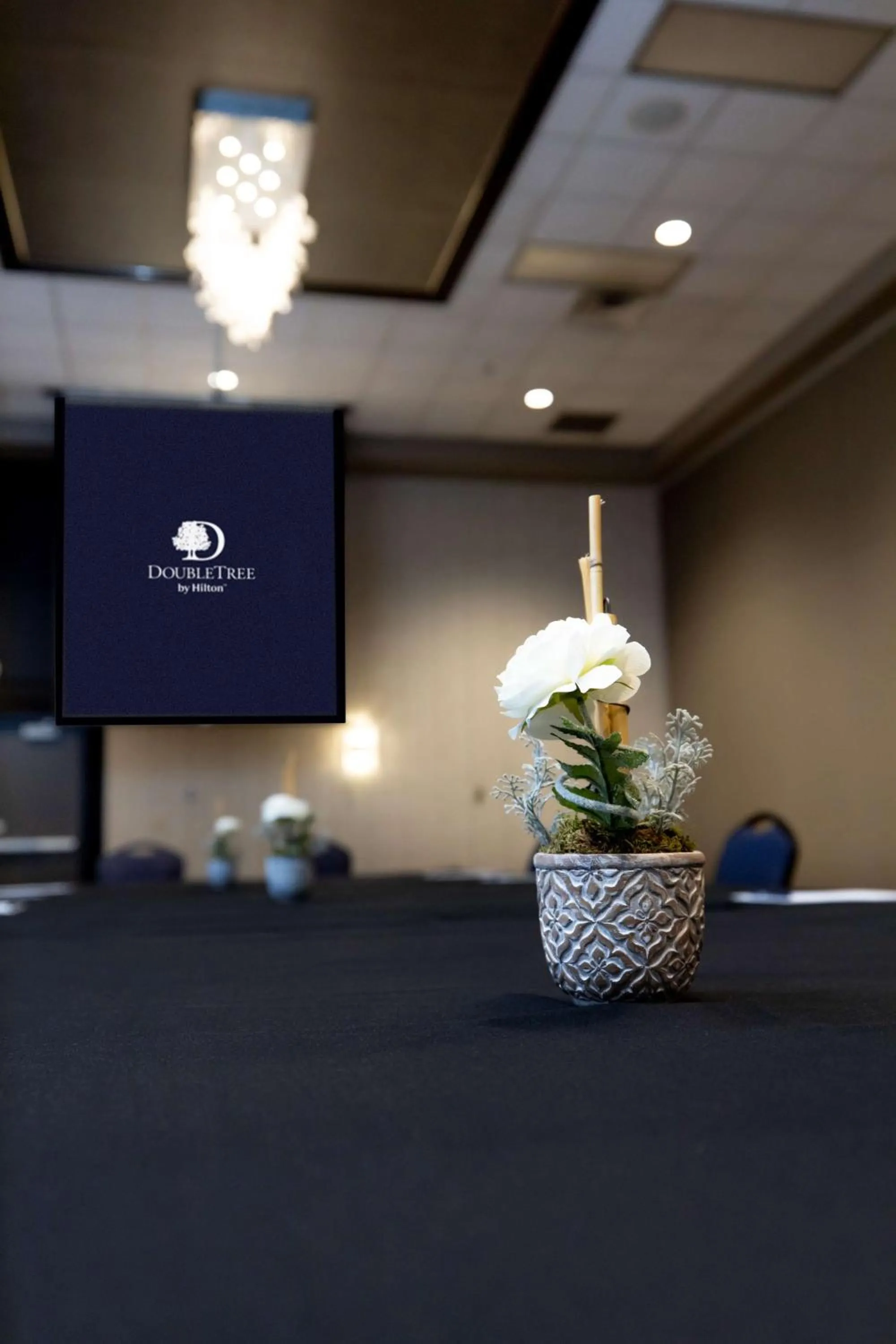 Meeting/conference room in DoubleTree by Hilton Bloomington