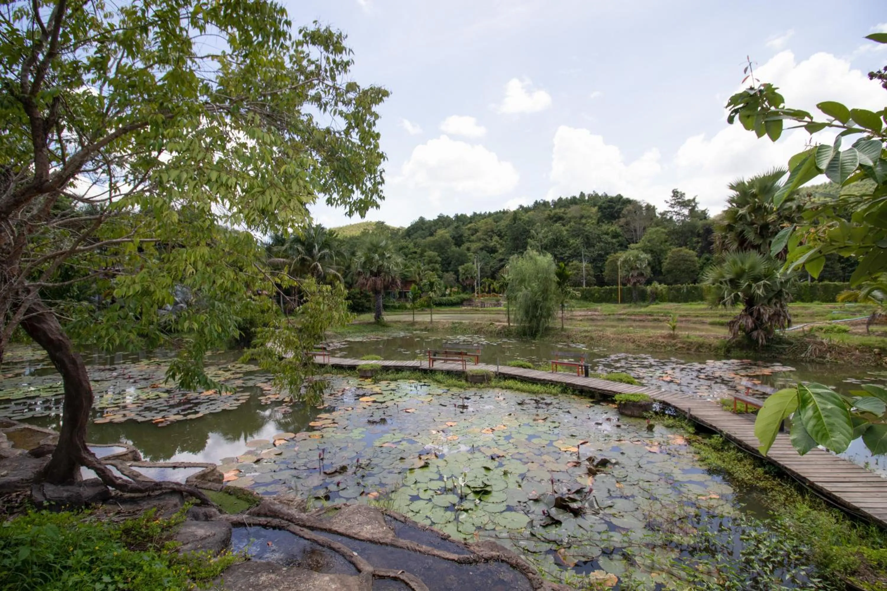 Property building in Royal Train Garden Resort