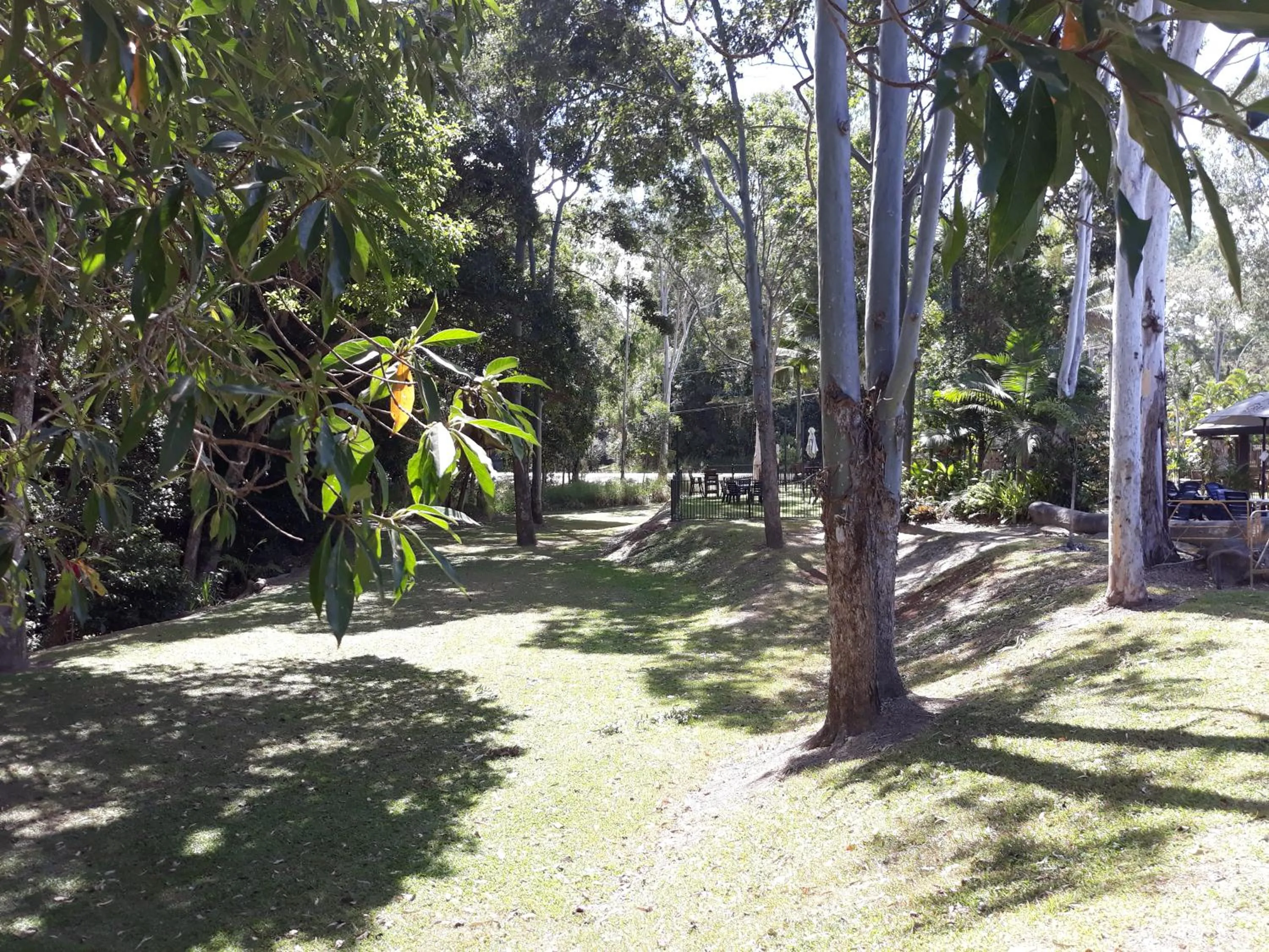 Natural landscape in Speewah Country Tavern