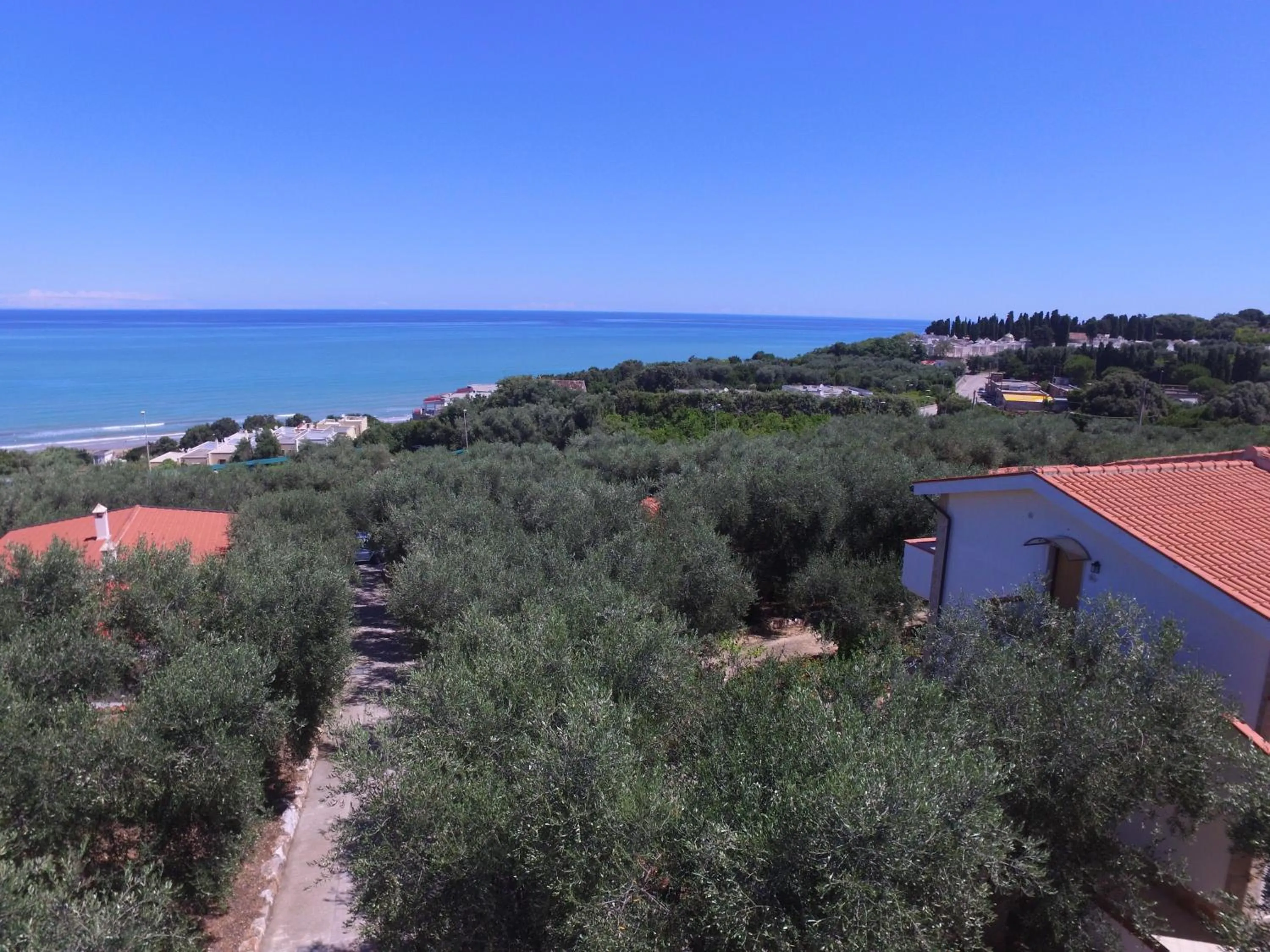 Balcony/Terrace in Zagare Residence