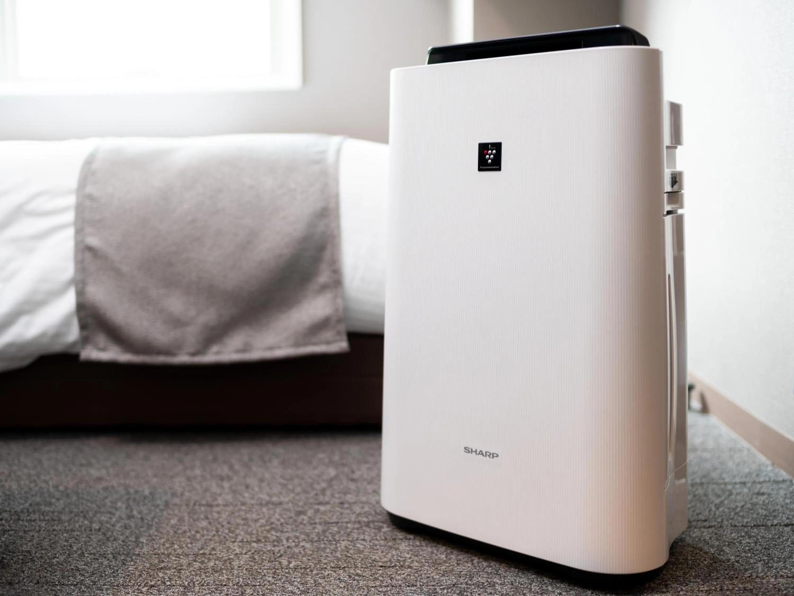 Photo of the whole room in Super Hotel Tozai line Ichikawa Myoden Ekimae