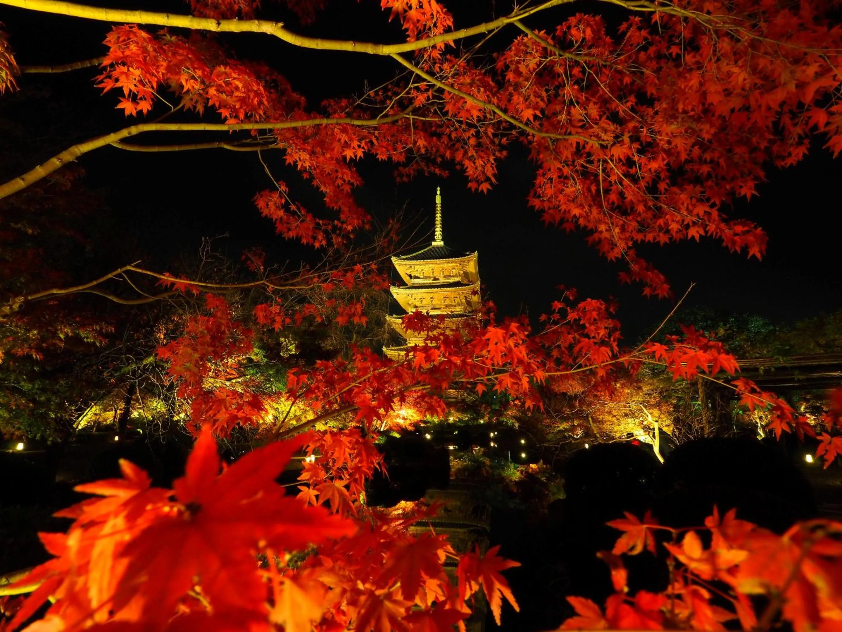 Stay SAKURA Kyoto Higashi Hongan-ji I