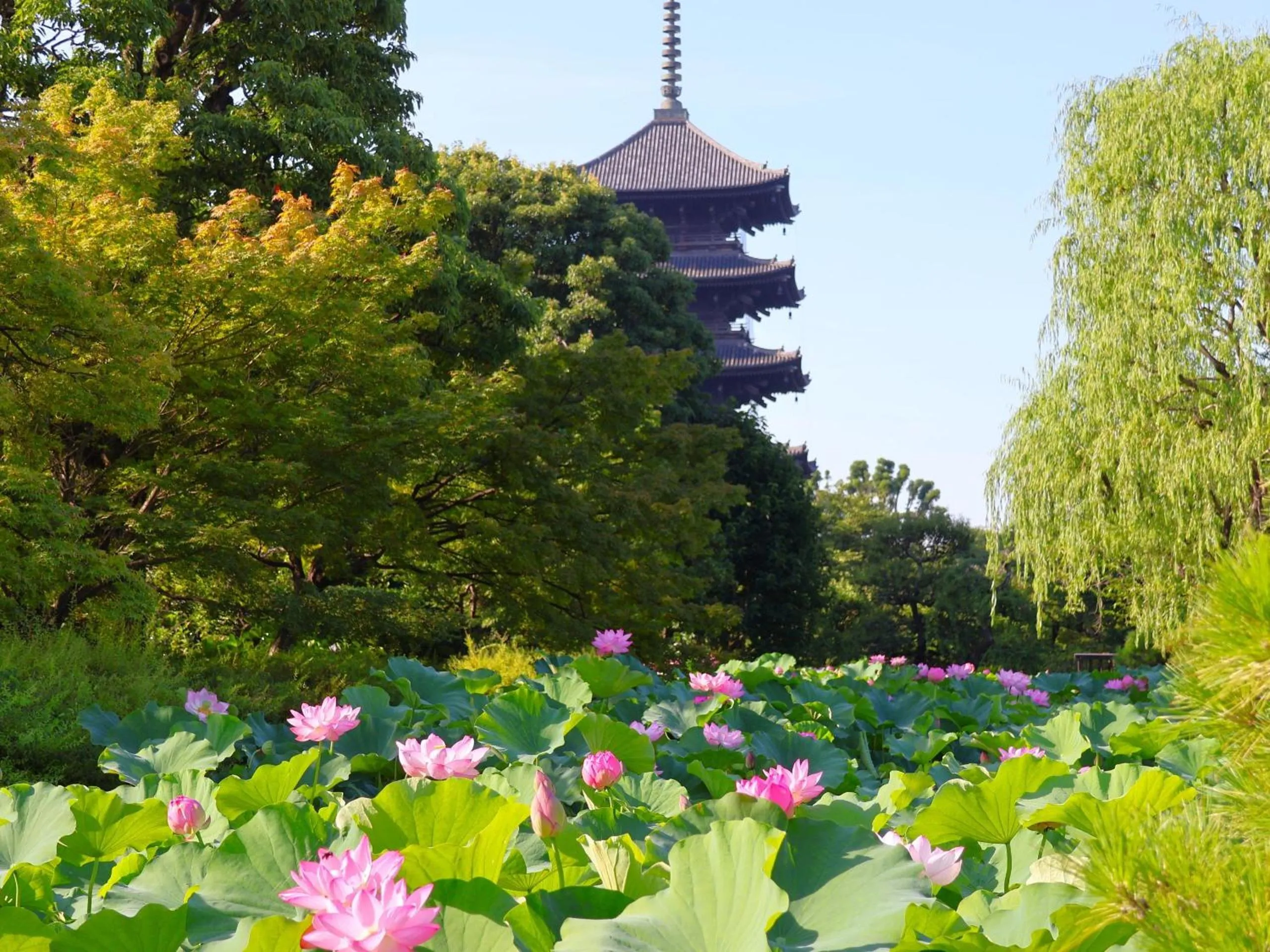 Stay SAKURA Kyoto Higashi Hongan-ji I