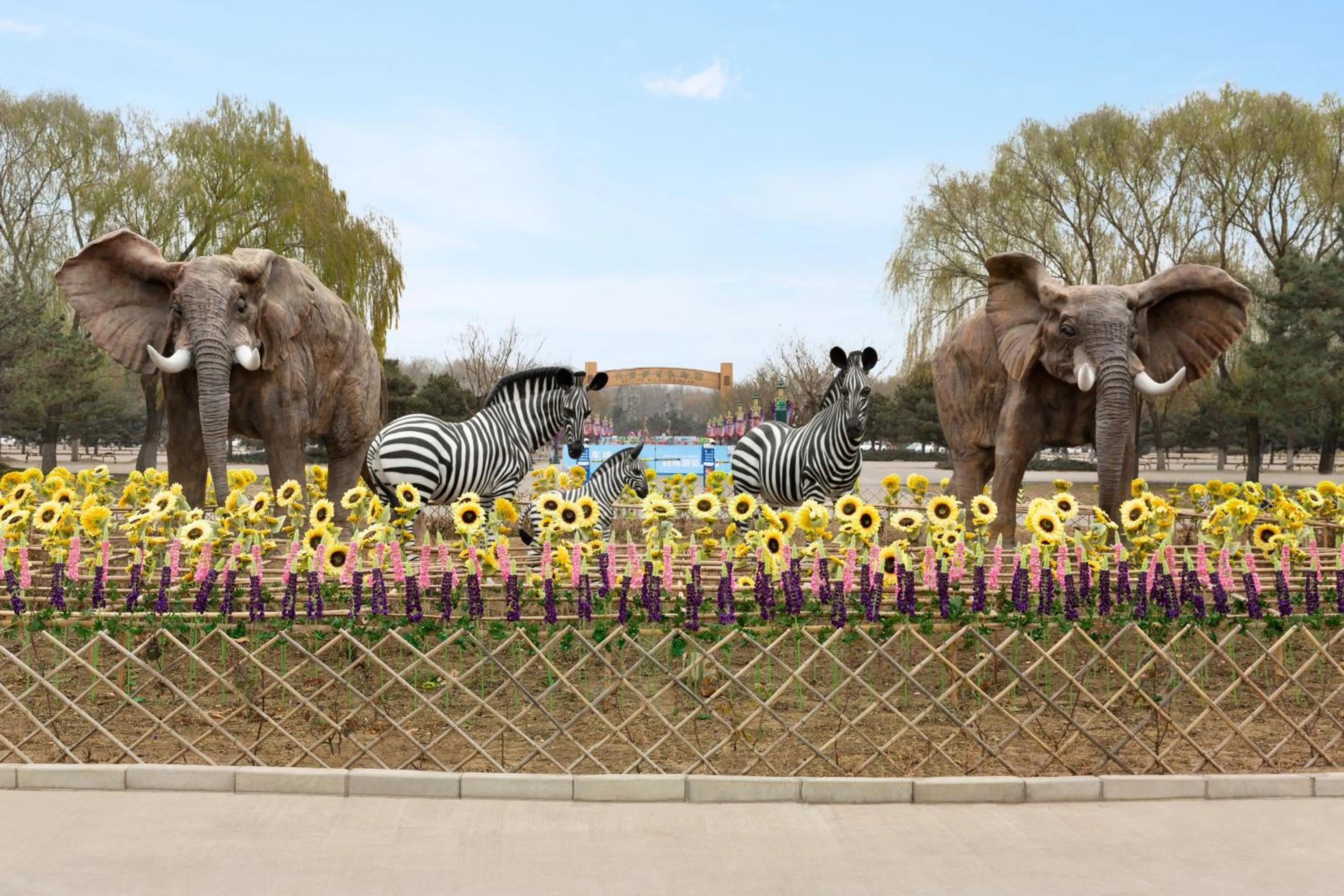 Pets in Hyatt Place Beijing Daxing