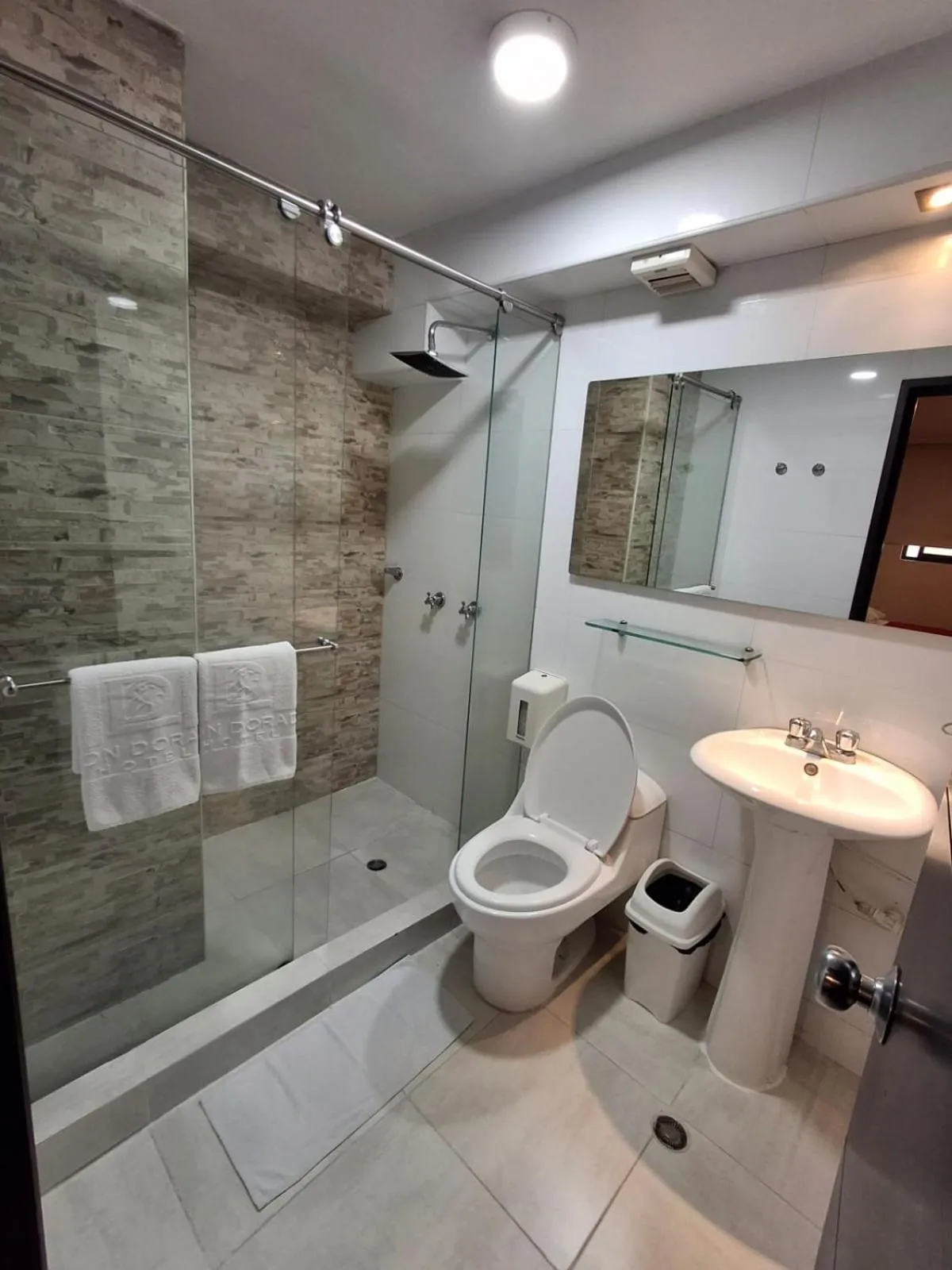 Toilet in Hotel León Dorado