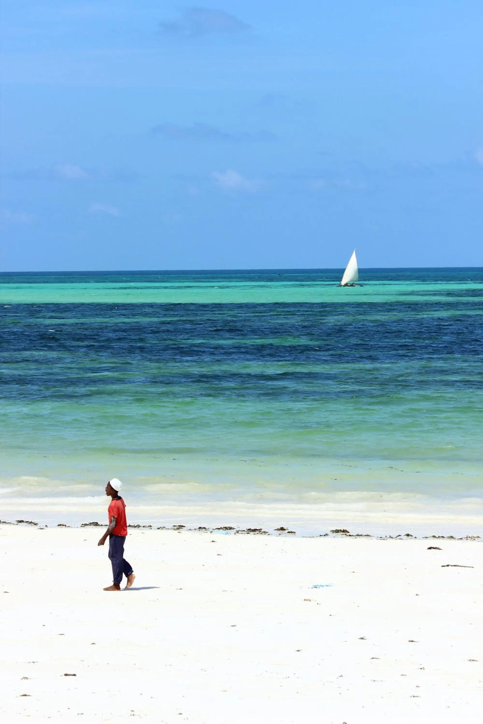 Beach in Uroa Bay Beach Resort