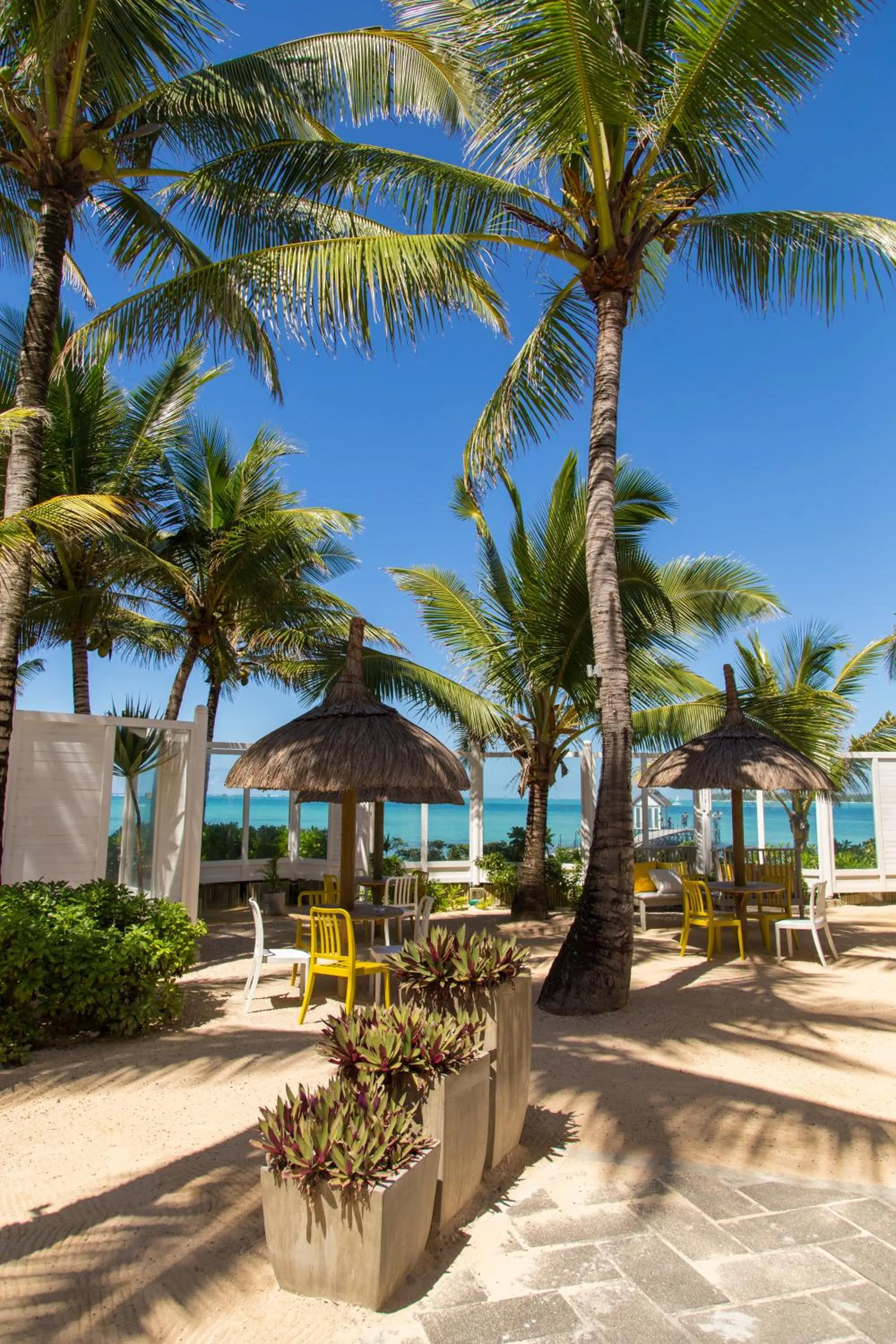 Restaurant/places to eat in Tropical Attitude (Adults Only)