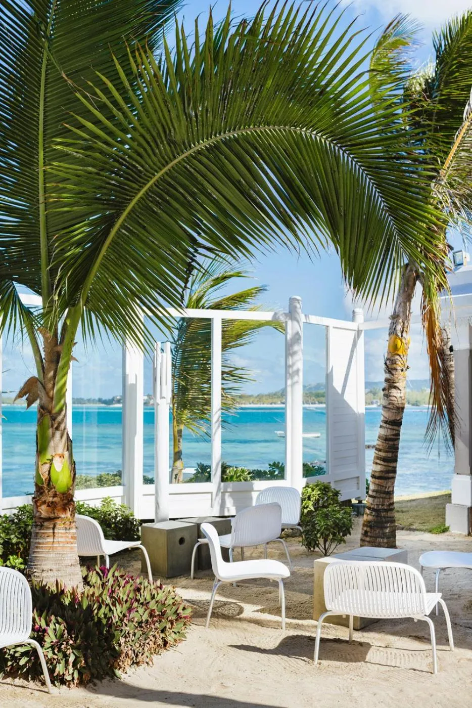 Lounge or bar in Tropical Attitude (Adults Only)