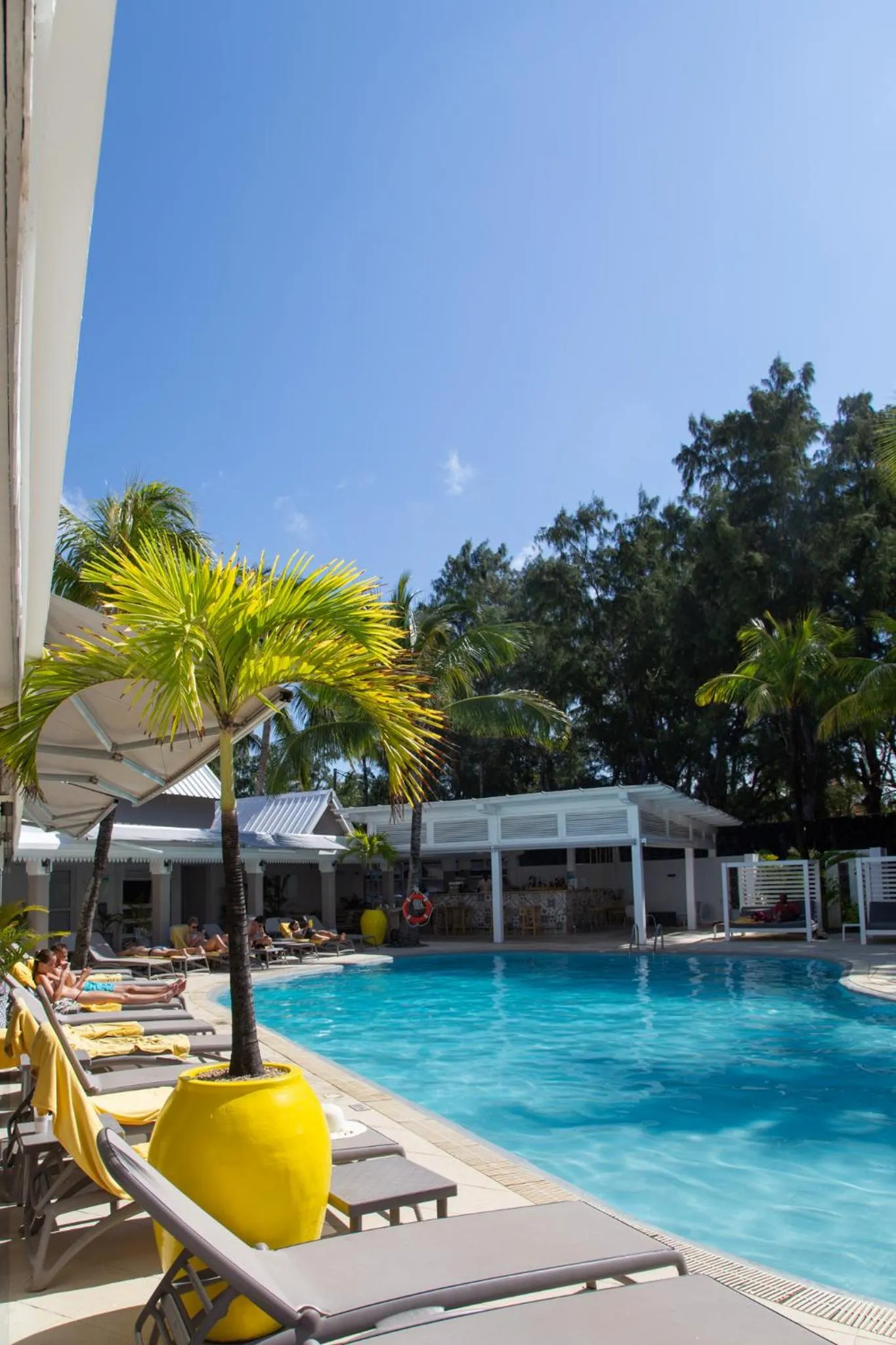 Swimming pool in Tropical Attitude (Adults Only)