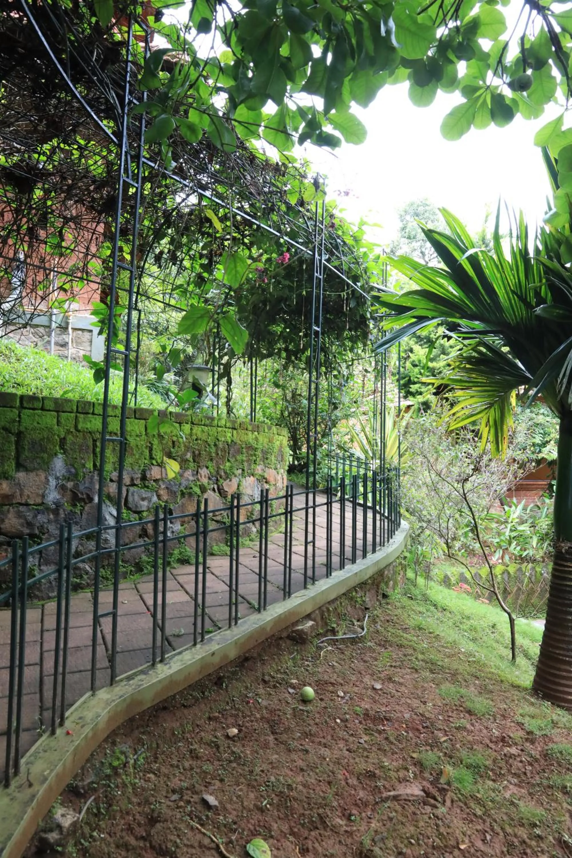 Day in Indeevara Luxury Resort and Spa, Wayanad