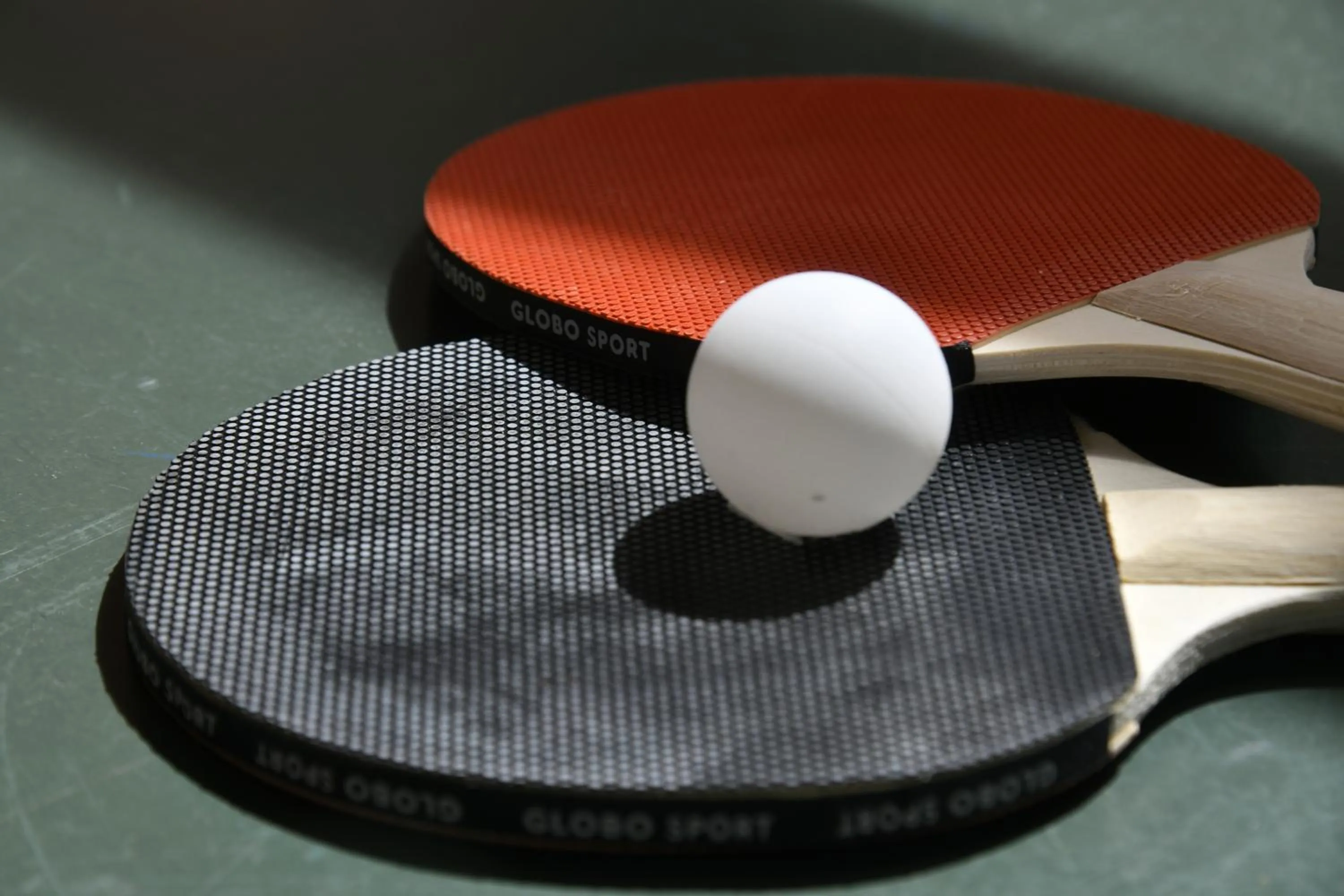 Table tennis in Hotel & Apartments Sasso
