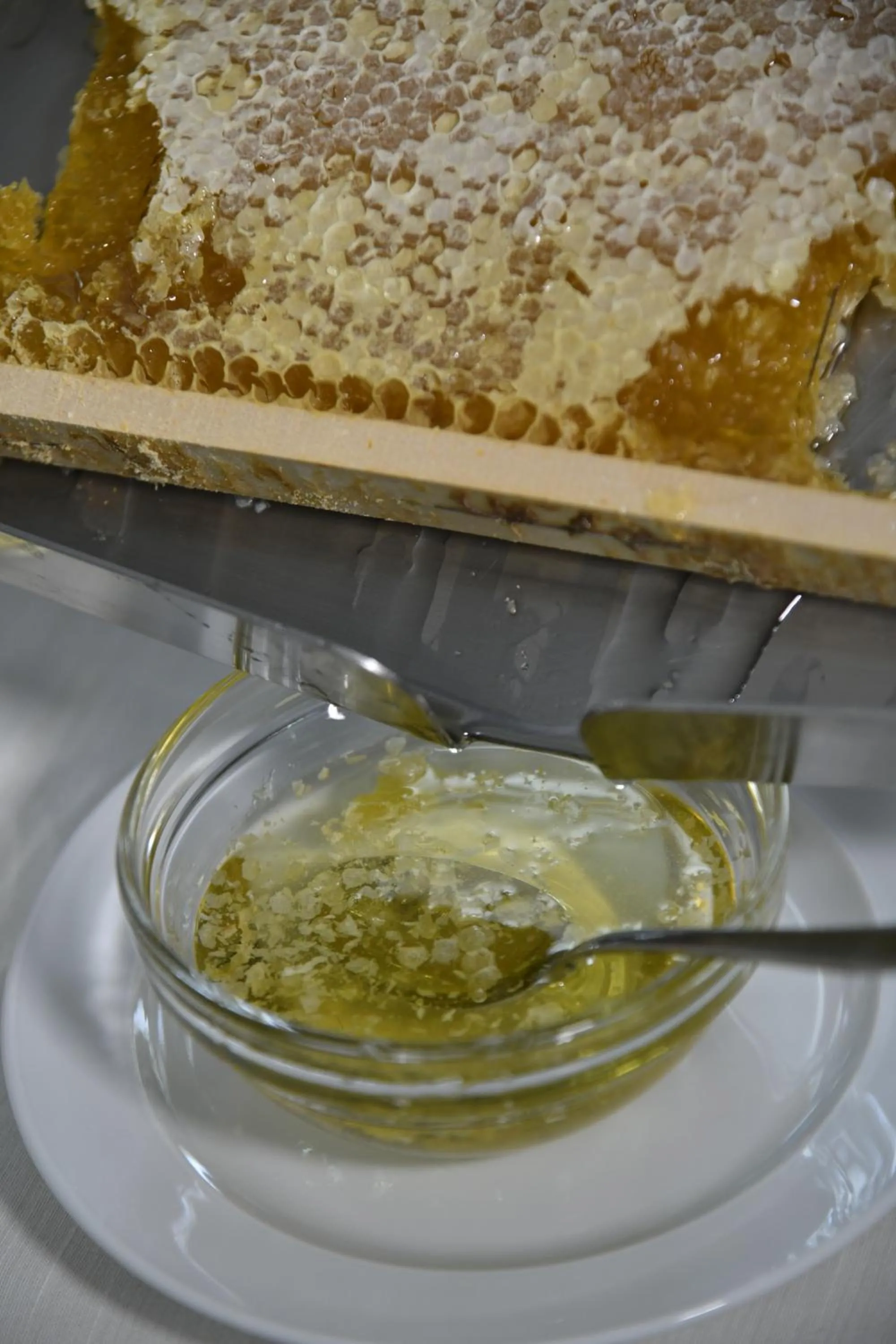 Food in Hotel & Apartments Sasso