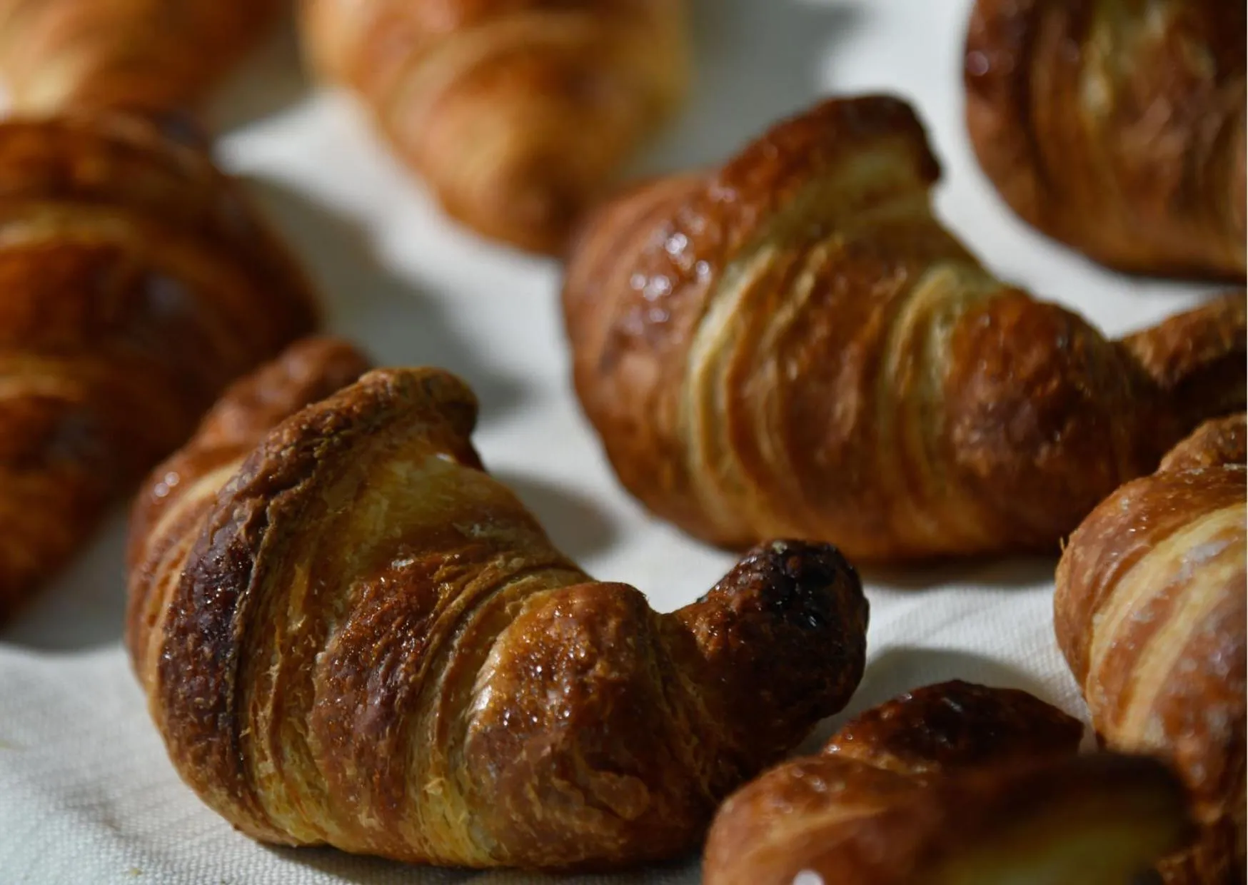 Food in Hotel & Apartments Sasso