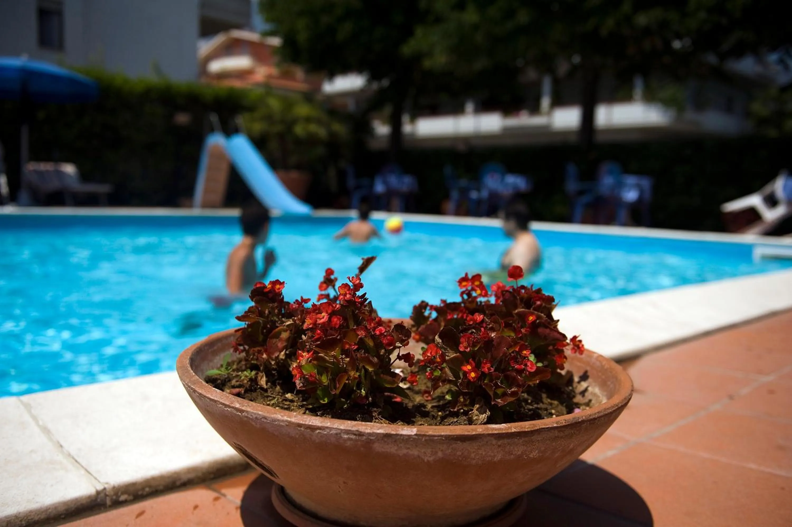 Swimming pool in Hotel Leuco'