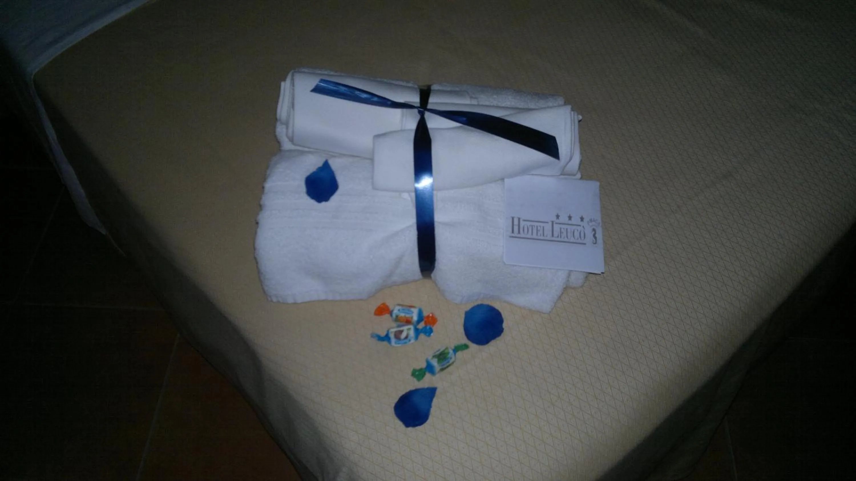 Decorative detail in Hotel Leuco'