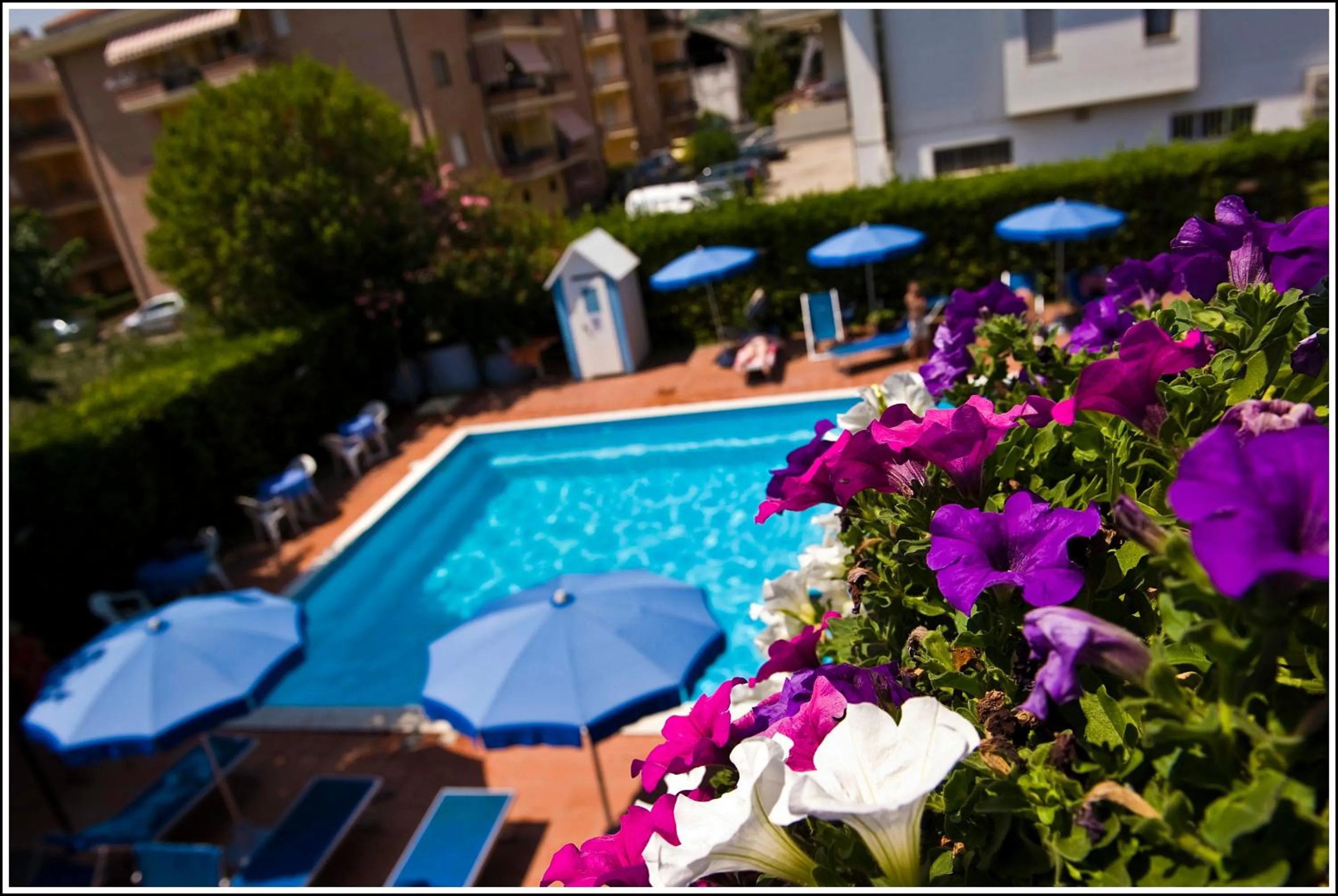 Swimming pool in Hotel Leuco'