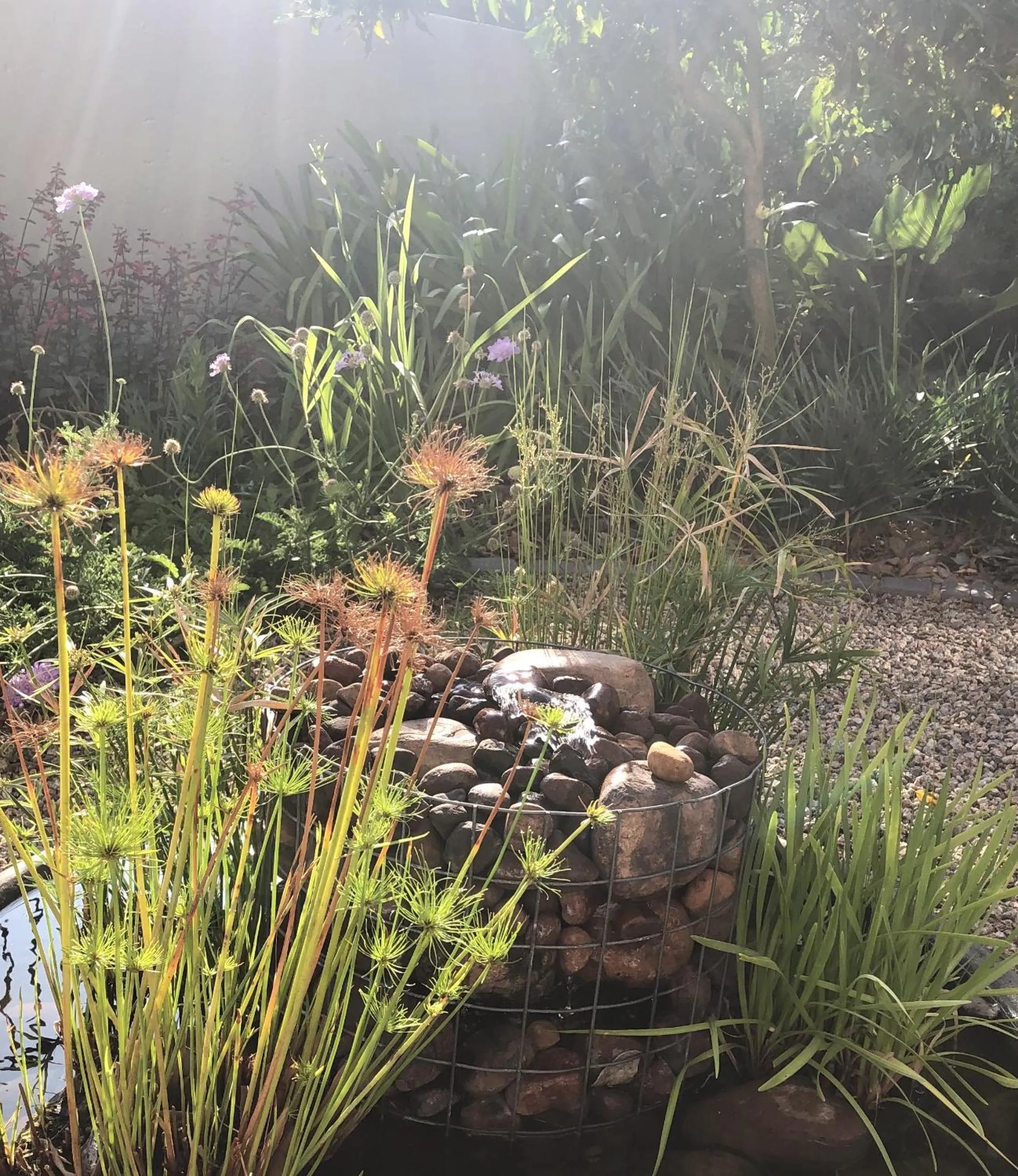 Garden in Sandton Slippers