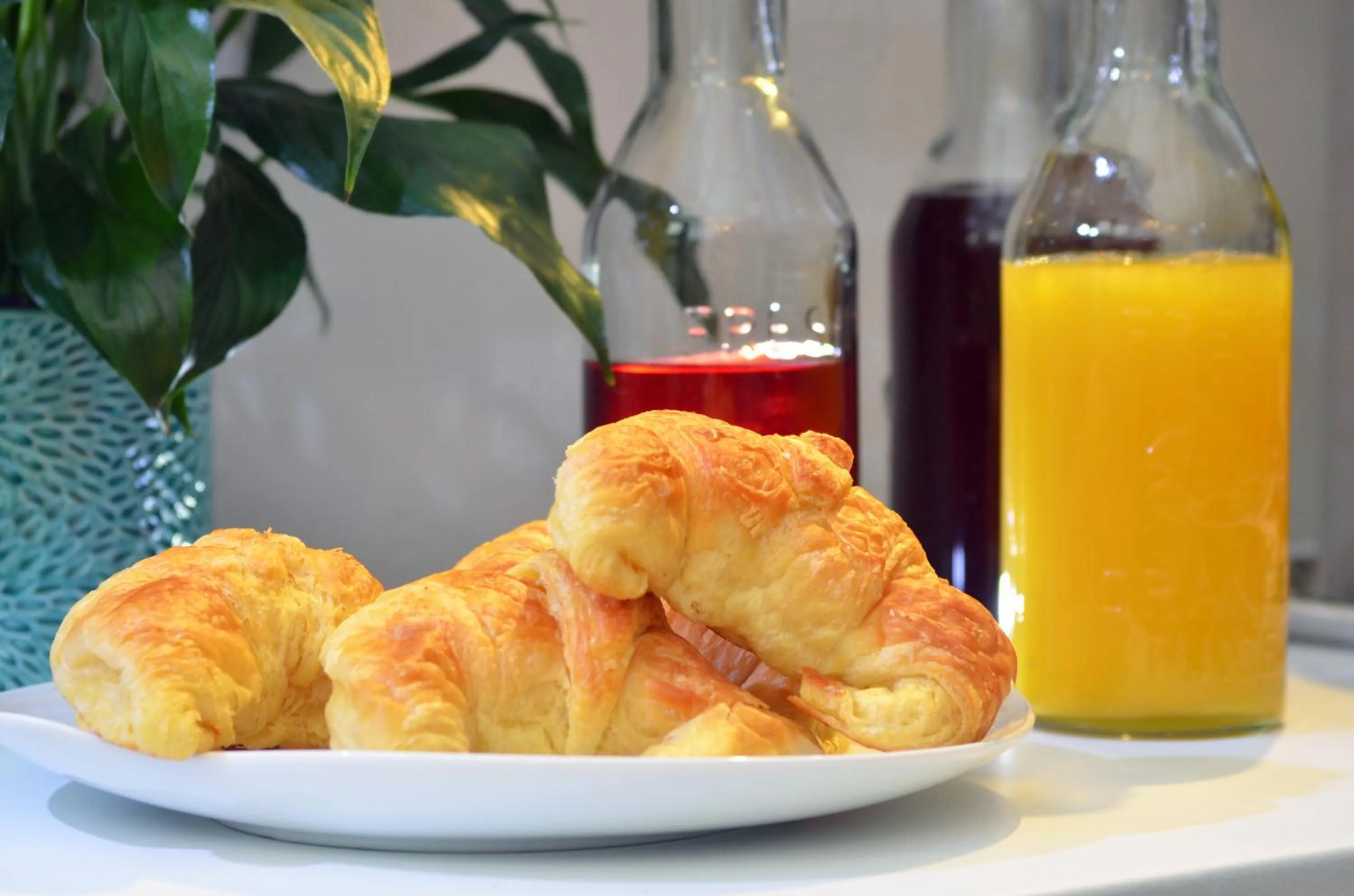 English/Irish breakfast in Sandton Slippers