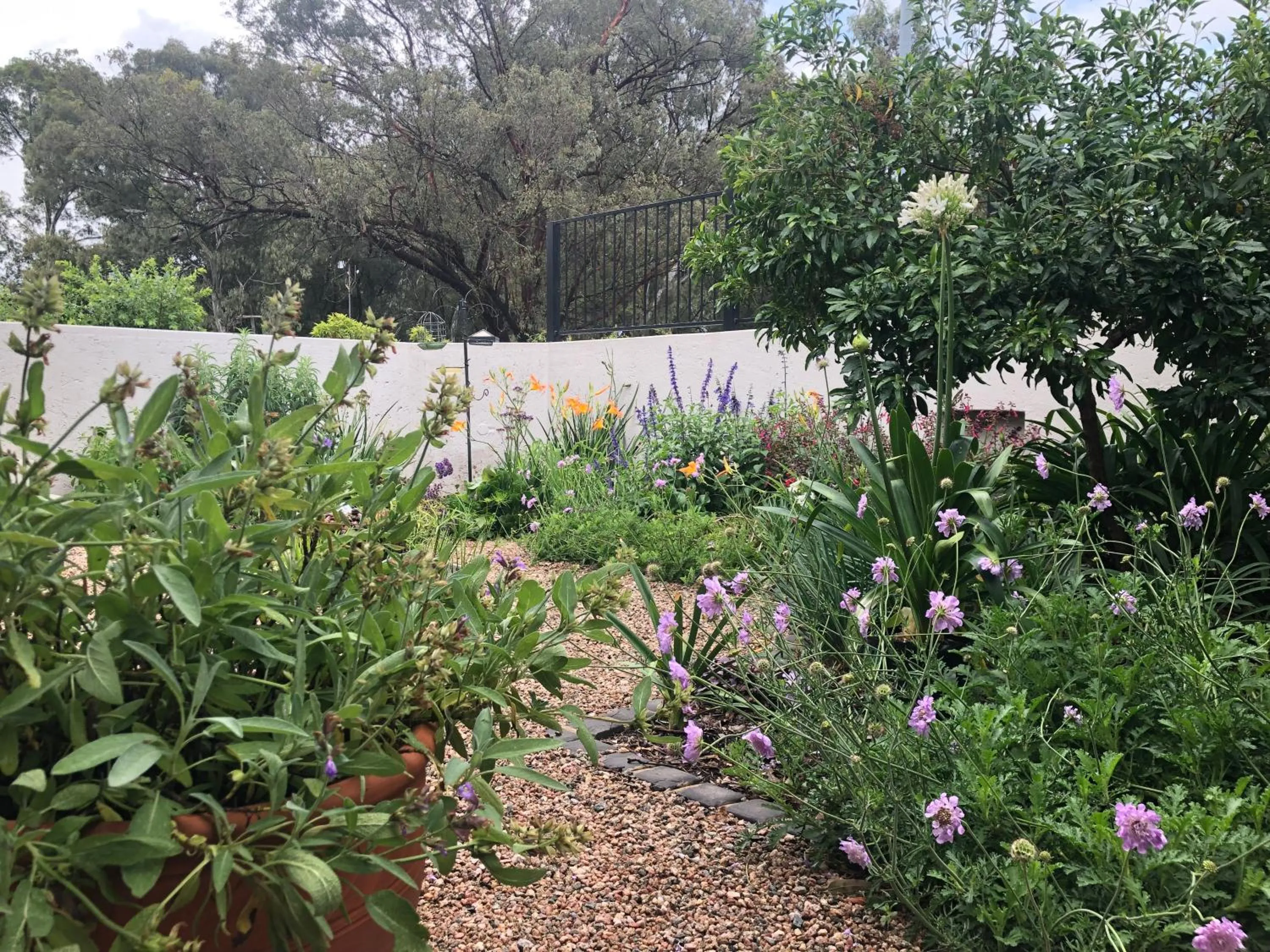 Garden in Sandton Slippers