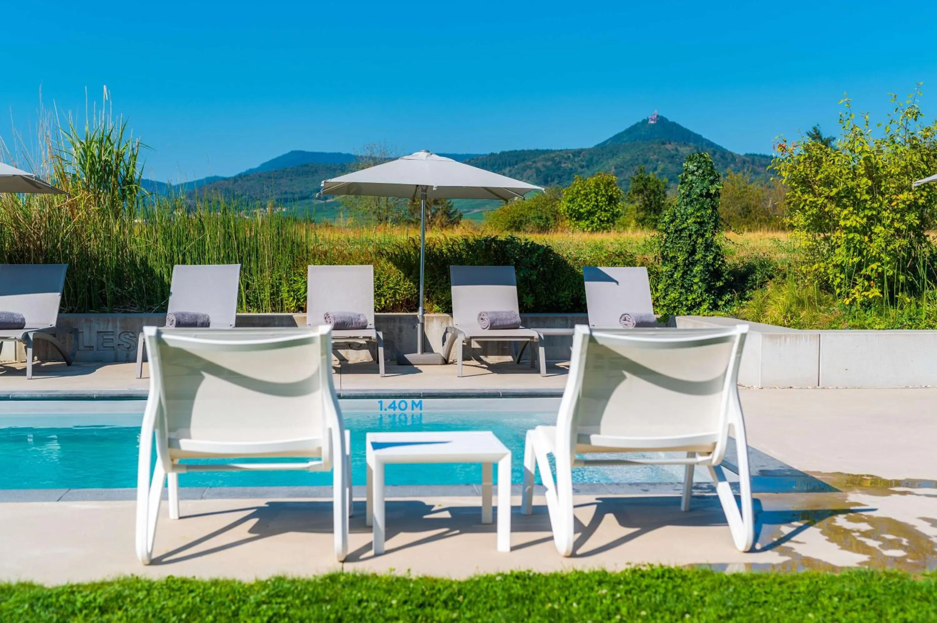 Pool view in Best Western Plus Hotel & Restaurant Les Humanistes Colmar Nord