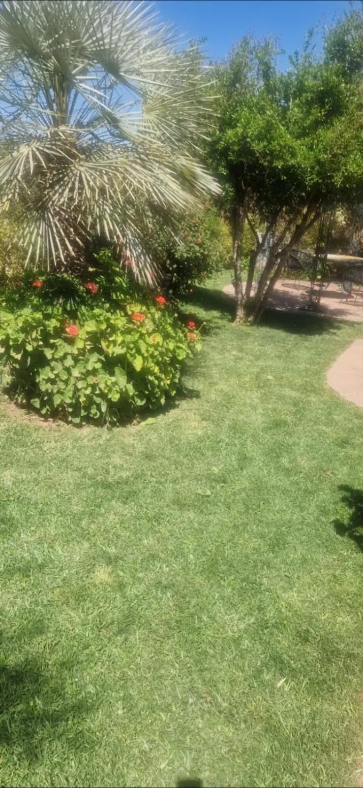 Garden in Hacienda Marrakech