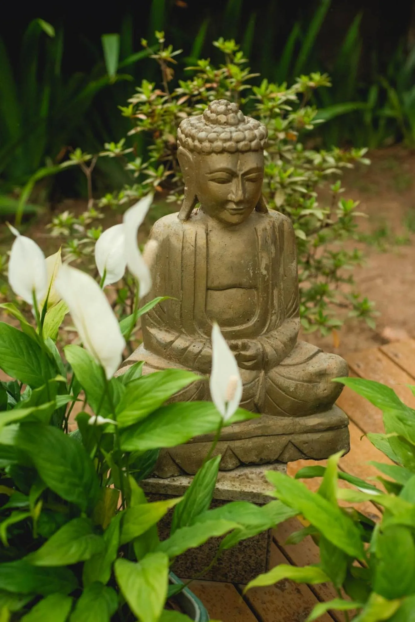 Garden in Pousada Cacau