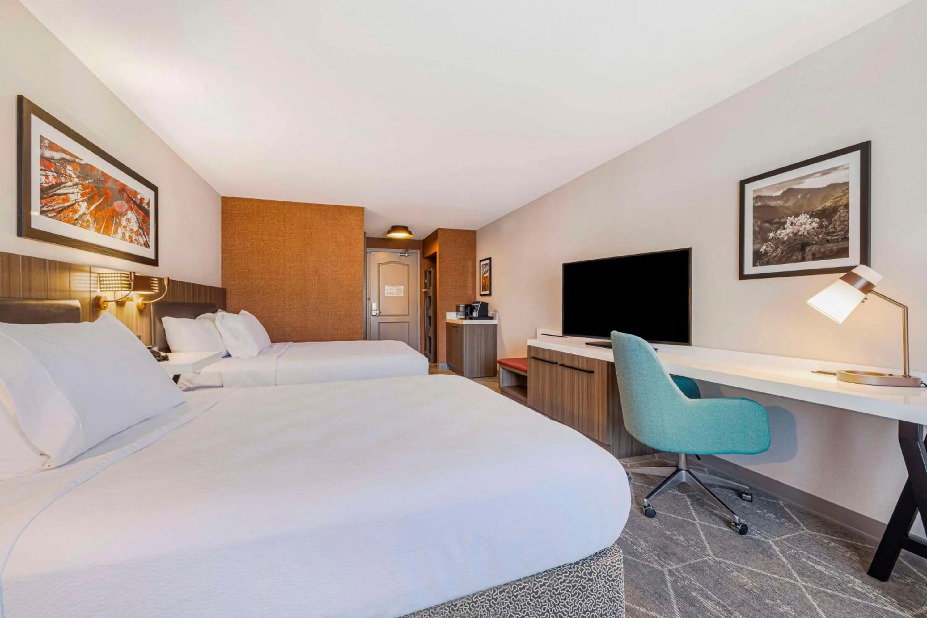 Bed in Hilton Garden Inn Colorado Springs Airport