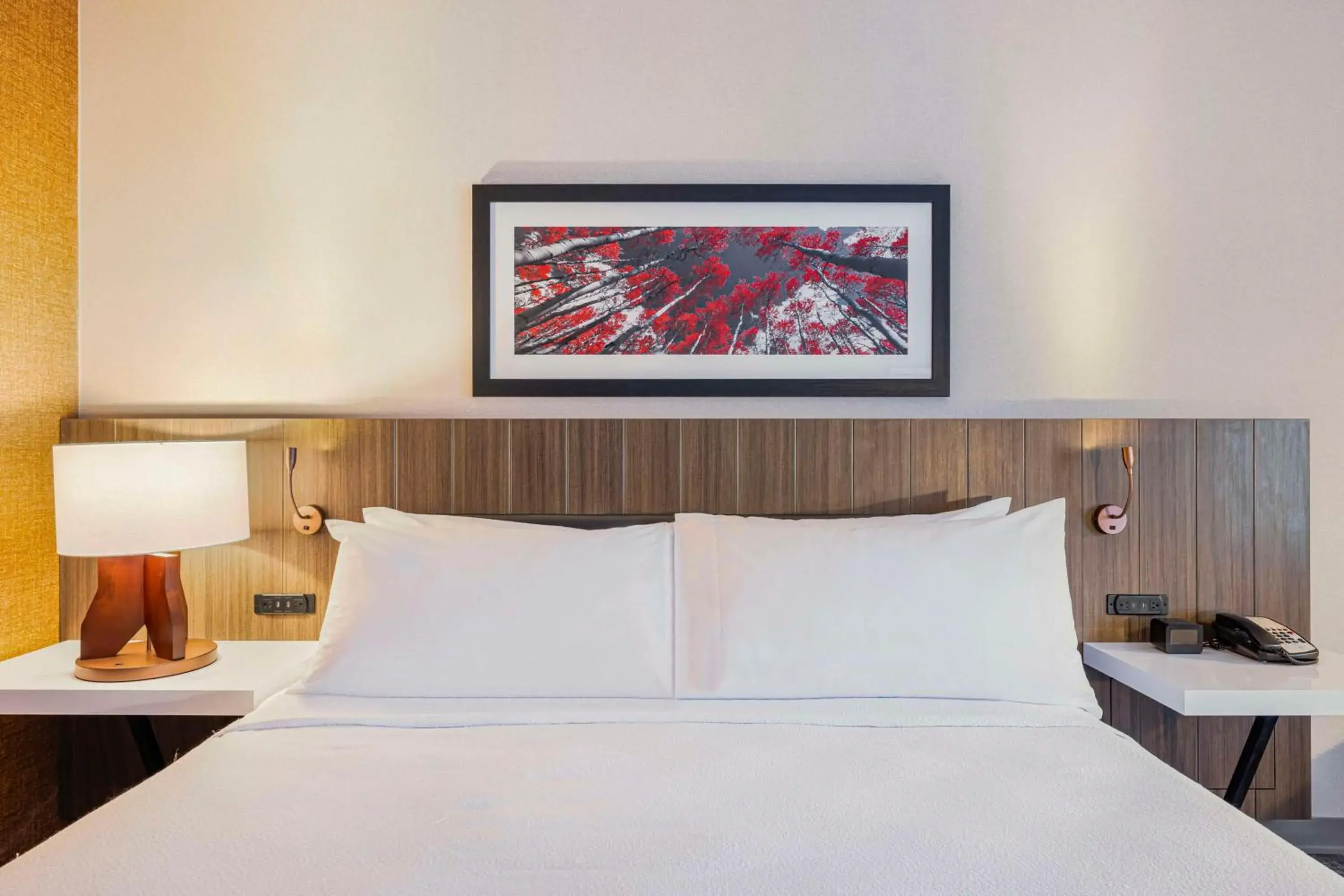 King Room with Bath Tub - Mobility Access in Hilton Garden Inn Colorado Springs Airport King Room with Bath Tub - Mobility Access in Hilton Garden Inn Colorado Springs Airport